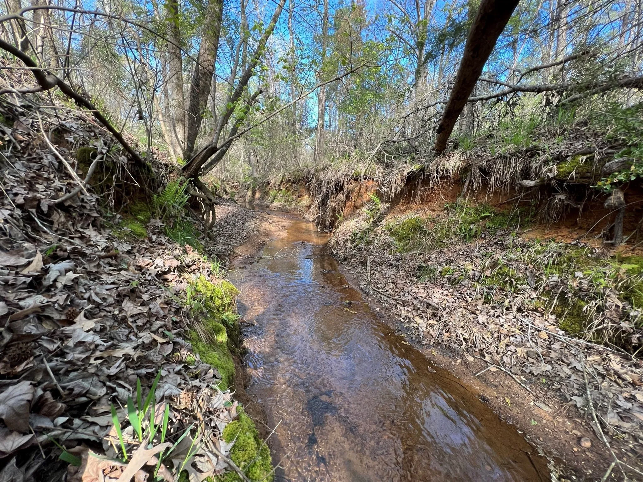 Unimproved Land For Sale in Smith County , 000 County Road 434, Lindale, Texas 75771, 0, 0, Garage spaces, 0 Sqft, built in 0, mls#20284183, Real Estate Agent in Lindale, Homes For Sale in Smith county, Homes For Sale in Lindale, Realtor in Lindale Texas, Real Estate Brokerage Independent Realty Texas, Luminita Cordes Realtor