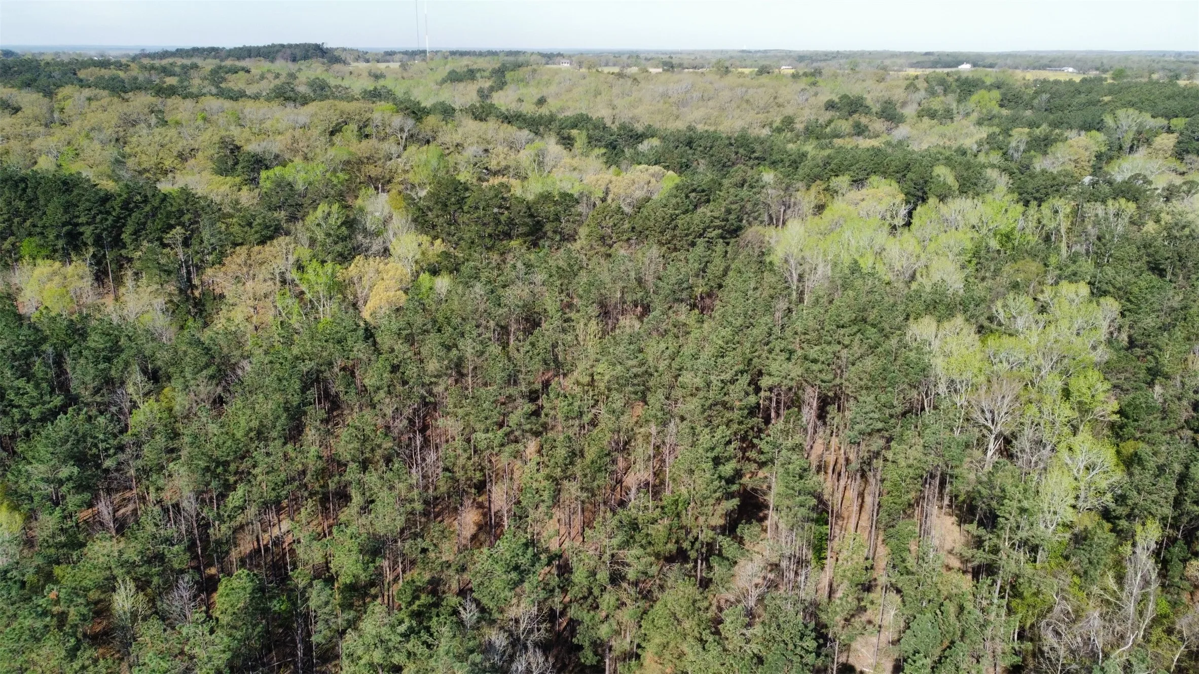 Unimproved Land For Sale in Smith County , 000 County Road 434, Lindale, Texas 75771, 0, 0, Garage spaces, 0 Sqft, built in 0, mls#20284183, Real Estate Agent in Lindale, Homes For Sale in Smith county, Homes For Sale in Lindale, Realtor in Lindale Texas, Real Estate Brokerage Independent Realty Texas, Luminita Cordes Realtor