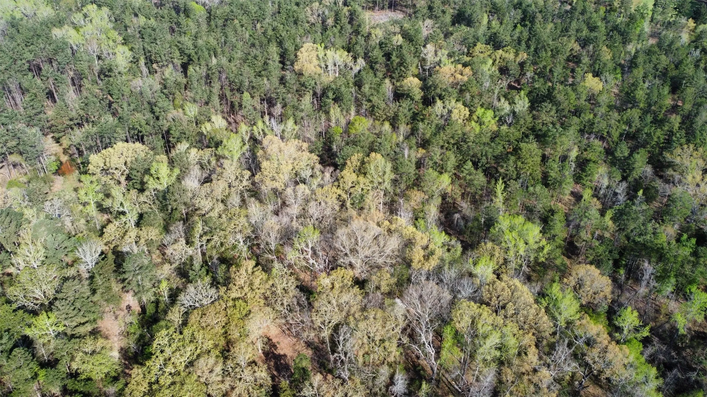 Unimproved Land For Sale in Smith County , 000 County Road 434, Lindale, Texas 75771, 0, 0, Garage spaces, 0 Sqft, built in 0, mls#20284183, Real Estate Agent in Lindale, Homes For Sale in Smith county, Homes For Sale in Lindale, Realtor in Lindale Texas, Real Estate Brokerage Independent Realty Texas, Luminita Cordes Realtor