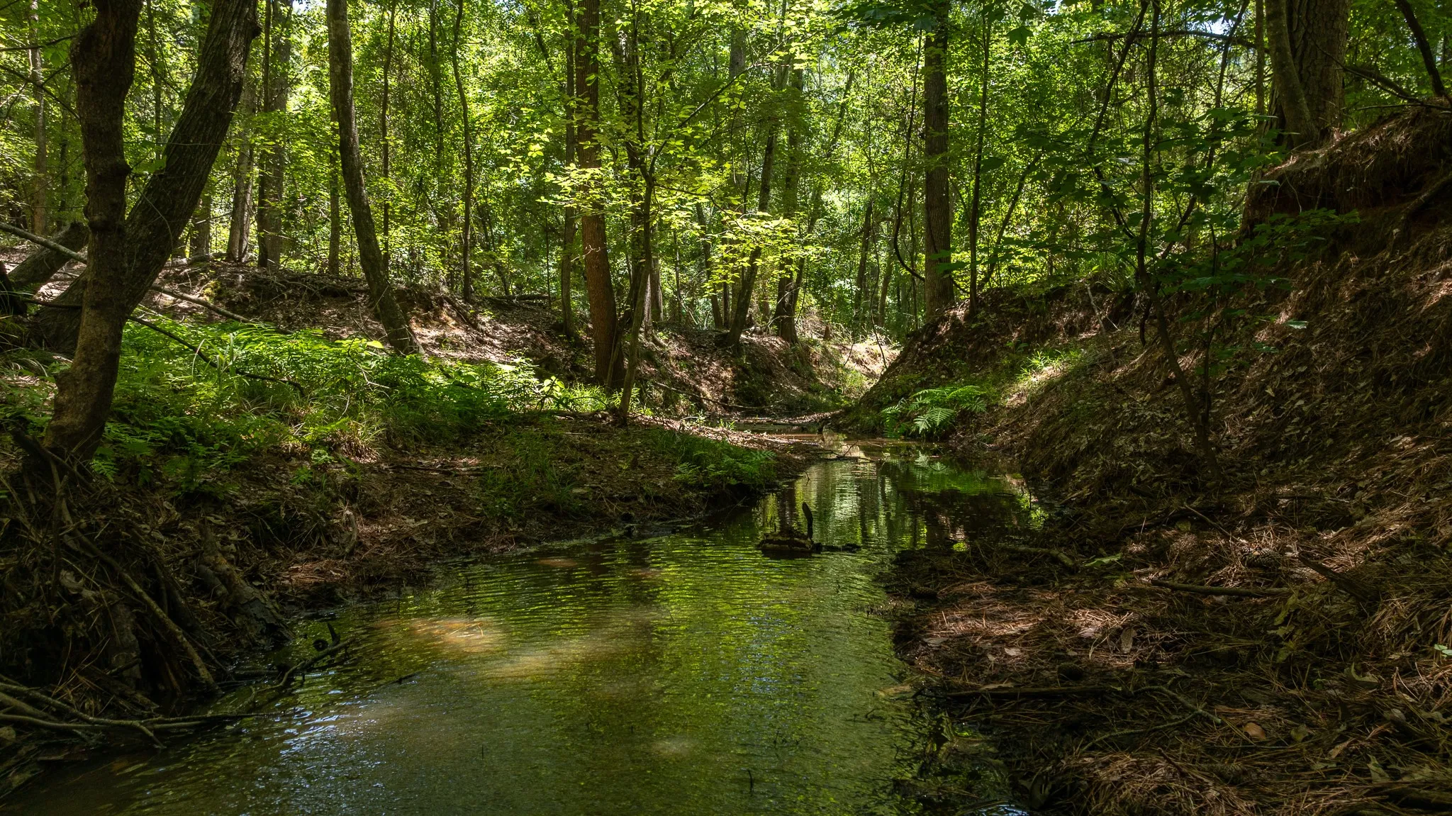 Unimproved Land For Sale in Smith County , 000 County Road 434, Lindale, Texas 75771, 0, 0, Garage spaces, 0 Sqft, built in 0, mls#20284183, Real Estate Agent in Lindale, Homes For Sale in Smith county, Homes For Sale in Lindale, Realtor in Lindale Texas, Real Estate Brokerage Independent Realty Texas, Luminita Cordes Realtor
