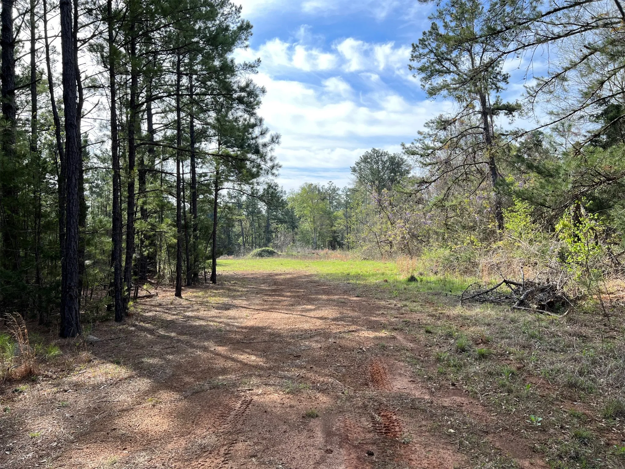 Unimproved Land For Sale in Smith County , 000 County Road 434, Lindale, Texas 75771, 0, 0, Garage spaces, 0 Sqft, built in 0, mls#20284183, Real Estate Agent in Lindale, Homes For Sale in Smith county, Homes For Sale in Lindale, Realtor in Lindale Texas, Real Estate Brokerage Independent Realty Texas, Luminita Cordes Realtor