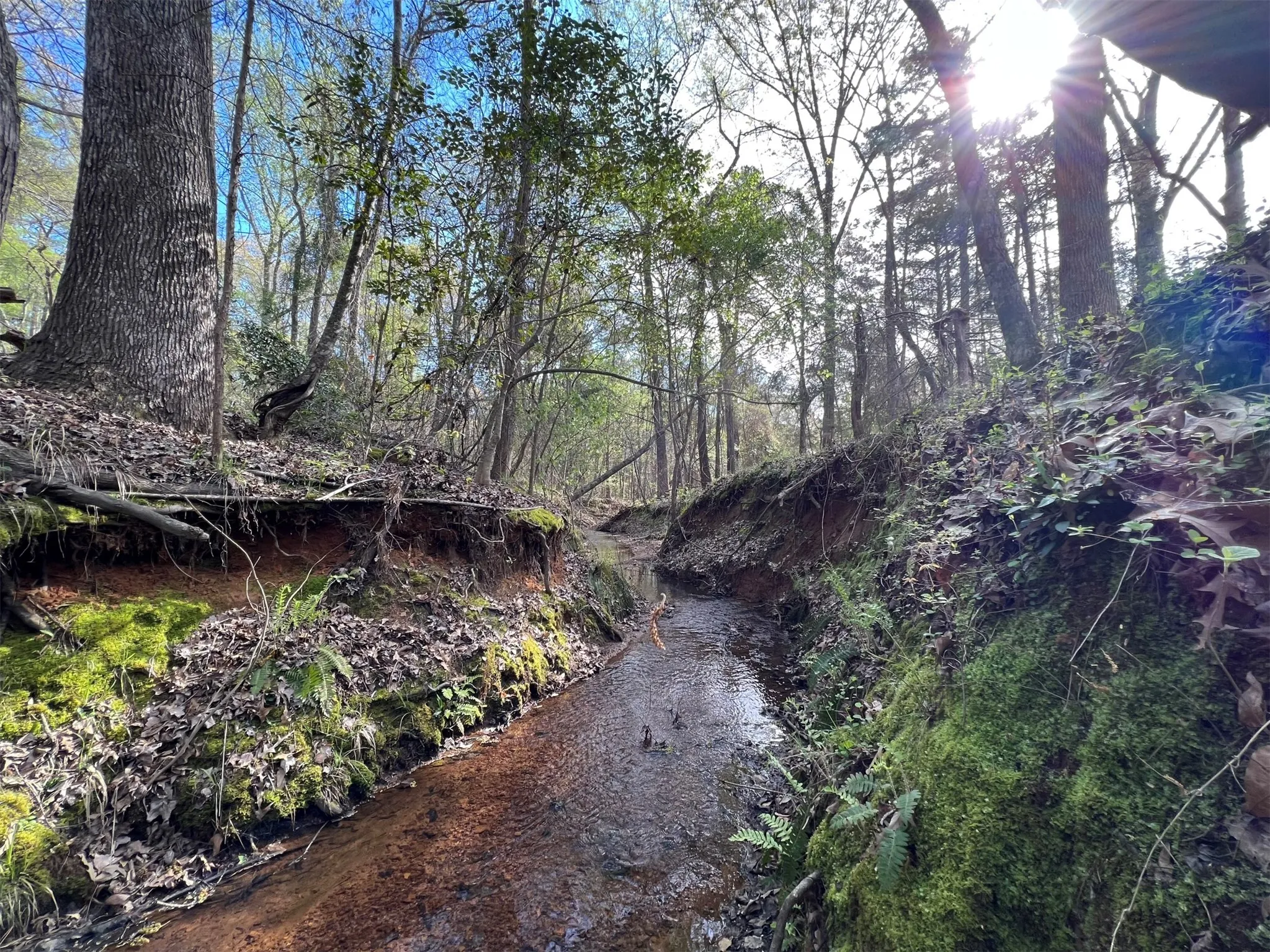 Unimproved Land For Sale in Smith County , 000 County Road 434, Lindale, Texas 75771, 0, 0, Garage spaces, 0 Sqft, built in 0, mls#20284183, Real Estate Agent in Lindale, Homes For Sale in Smith county, Homes For Sale in Lindale, Realtor in Lindale Texas, Real Estate Brokerage Independent Realty Texas, Luminita Cordes Realtor