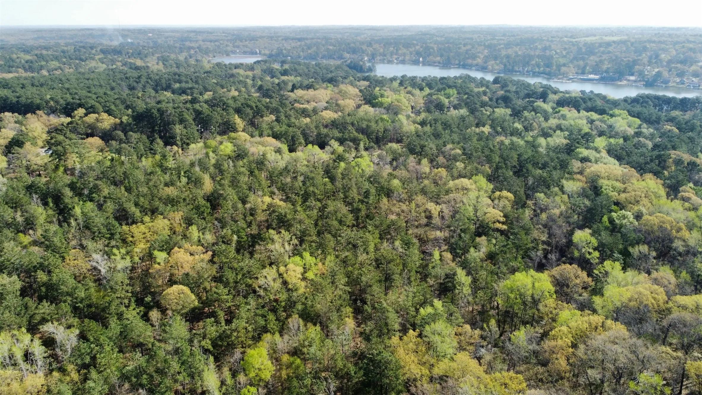 Unimproved Land For Sale in Smith County , 000 County Road 434, Lindale, Texas 75771, 0, 0, Garage spaces, 0 Sqft, built in 0, mls#20284183, Real Estate Agent in Lindale, Homes For Sale in Smith county, Homes For Sale in Lindale, Realtor in Lindale Texas, Real Estate Brokerage Independent Realty Texas, Luminita Cordes Realtor