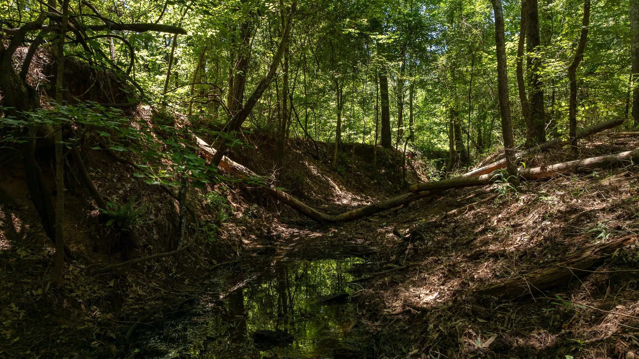 Unimproved Land For Sale in Smith County , 000 County Road 434, Lindale, Texas 75771, 0, 0, Garage spaces, 0 Sqft, built in 0, mls#20284183, Real Estate Agent in Lindale, Homes For Sale in Smith county, Homes For Sale in Lindale, Realtor in Lindale Texas, Real Estate Brokerage Independent Realty Texas, Luminita Cordes Realtor