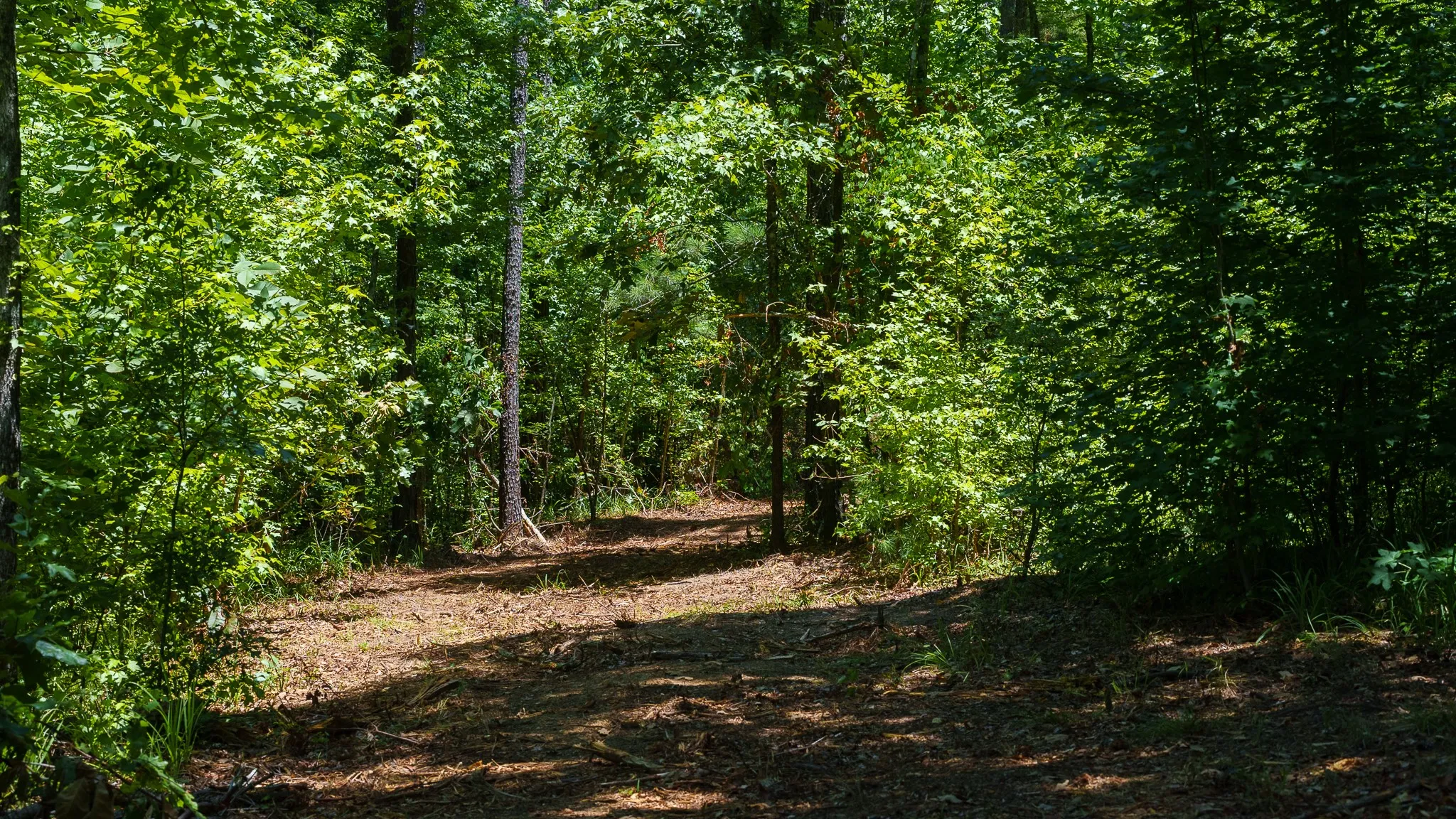 Unimproved Land For Sale in Smith County , 000 County Road 434, Lindale, Texas 75771, 0, 0, Garage spaces, 0 Sqft, built in 0, mls#20284183, Real Estate Agent in Lindale, Homes For Sale in Smith county, Homes For Sale in Lindale, Realtor in Lindale Texas, Real Estate Brokerage Independent Realty Texas, Luminita Cordes Realtor