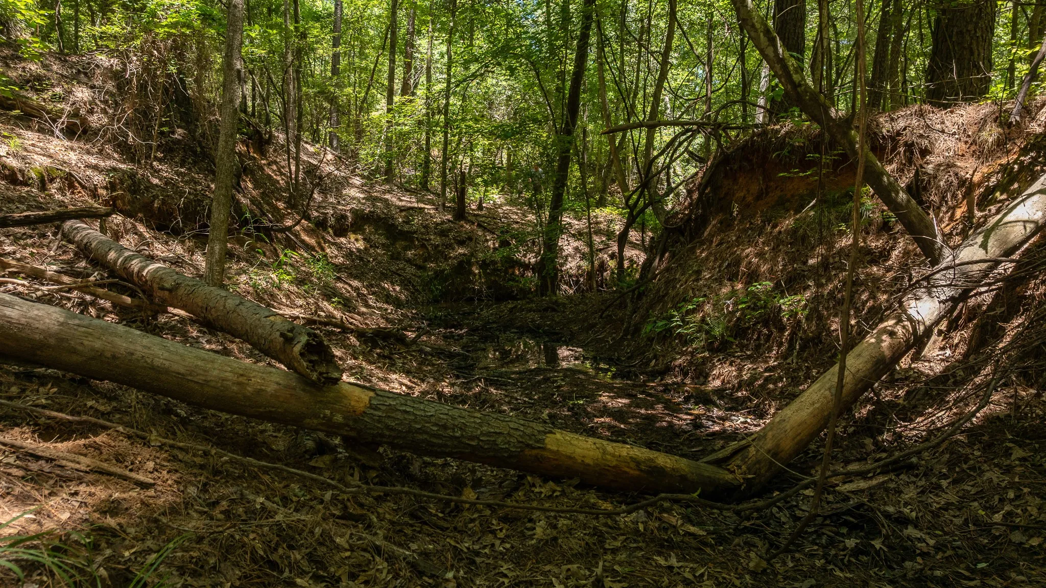 Unimproved Land For Sale in Smith County , 000 County Road 434, Lindale, Texas 75771, 0, 0, Garage spaces, 0 Sqft, built in 0, mls#20284183, Real Estate Agent in Lindale, Homes For Sale in Smith county, Homes For Sale in Lindale, Realtor in Lindale Texas, Real Estate Brokerage Independent Realty Texas, Luminita Cordes Realtor