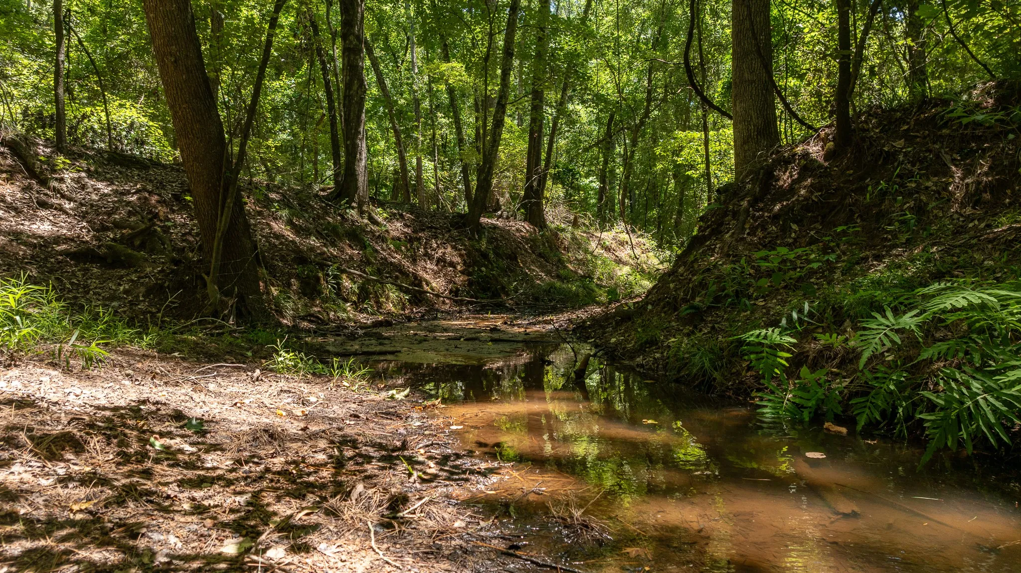 Unimproved Land For Sale in Smith County , 000 County Road 434, Lindale, Texas 75771, 0, 0, Garage spaces, 0 Sqft, built in 0, mls#20284183, Real Estate Agent in Lindale, Homes For Sale in Smith county, Homes For Sale in Lindale, Realtor in Lindale Texas, Real Estate Brokerage Independent Realty Texas, Luminita Cordes Realtor