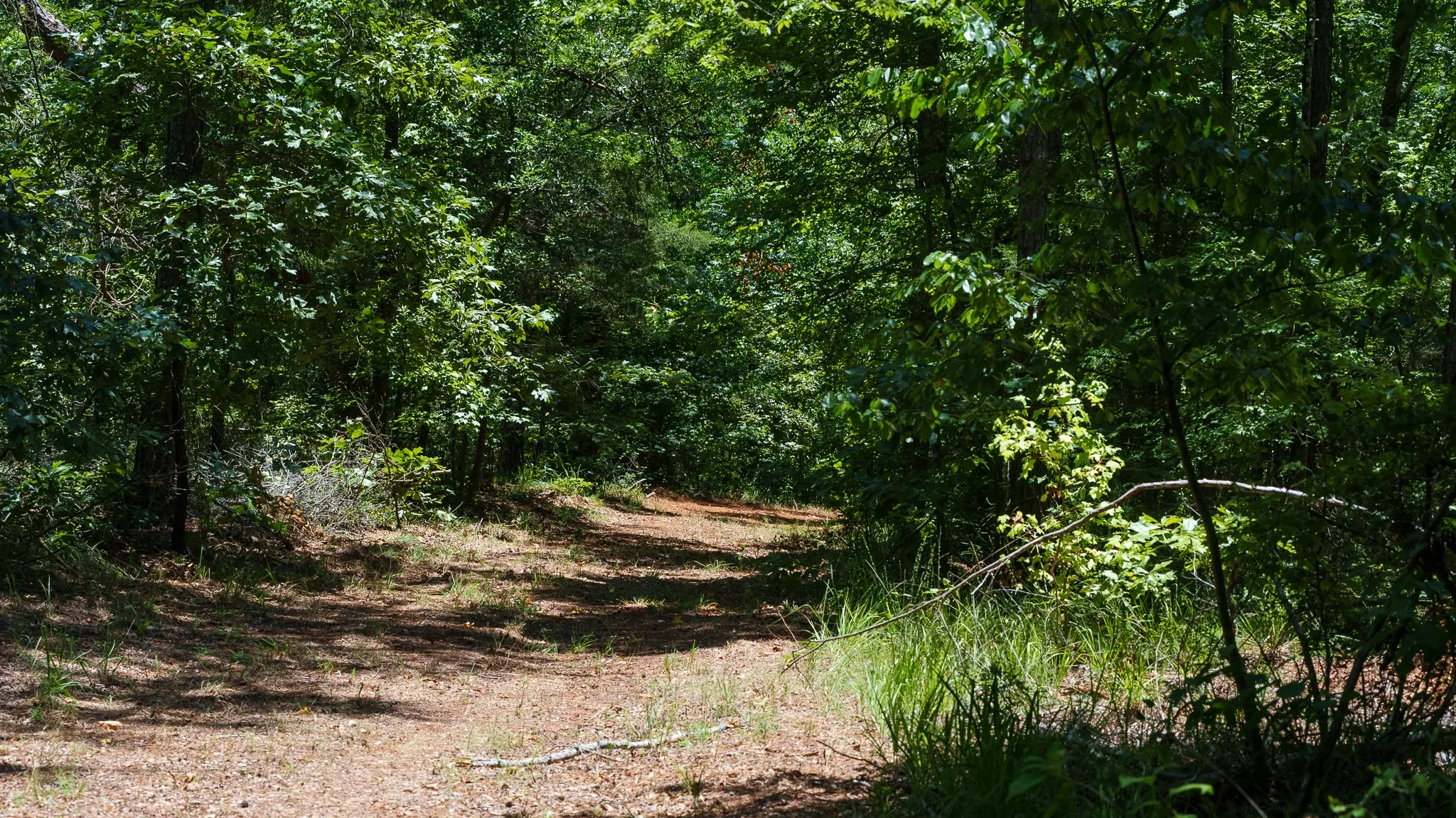 Unimproved Land For Sale in Smith County , 000 County Road 434, Lindale, Texas 75771, 0, 0, Garage spaces, 0 Sqft, built in 0, mls#20284183, Real Estate Agent in Lindale, Homes For Sale in Smith county, Homes For Sale in Lindale, Realtor in Lindale Texas, Real Estate Brokerage Independent Realty Texas, Luminita Cordes Realtor