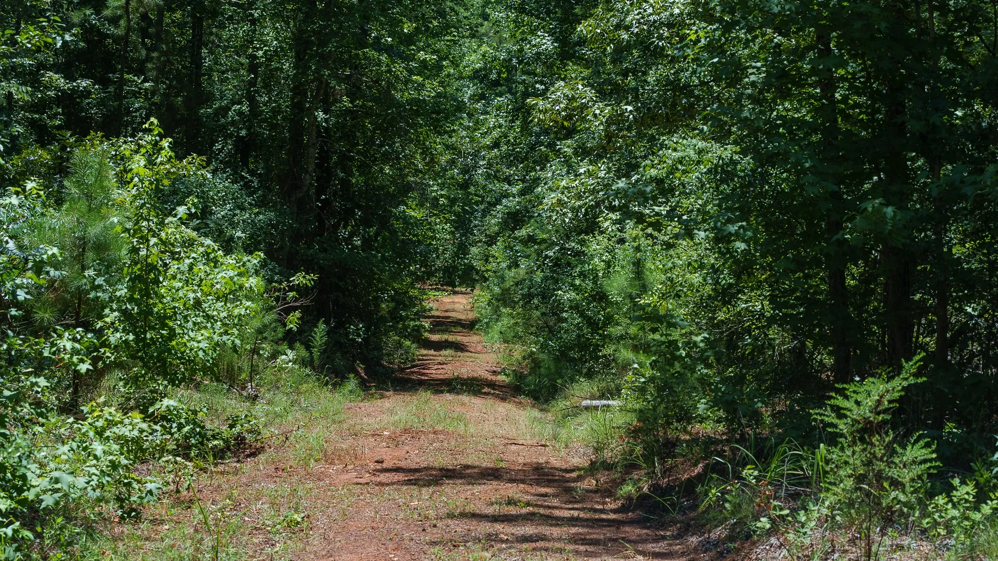 Unimproved Land For Sale in Smith County , 000 County Road 434, Lindale, Texas 75771, 0, 0, Garage spaces, 0 Sqft, built in 0, mls#20284183, Real Estate Agent in Lindale, Homes For Sale in Smith county, Homes For Sale in Lindale, Realtor in Lindale Texas, Real Estate Brokerage Independent Realty Texas, Luminita Cordes Realtor