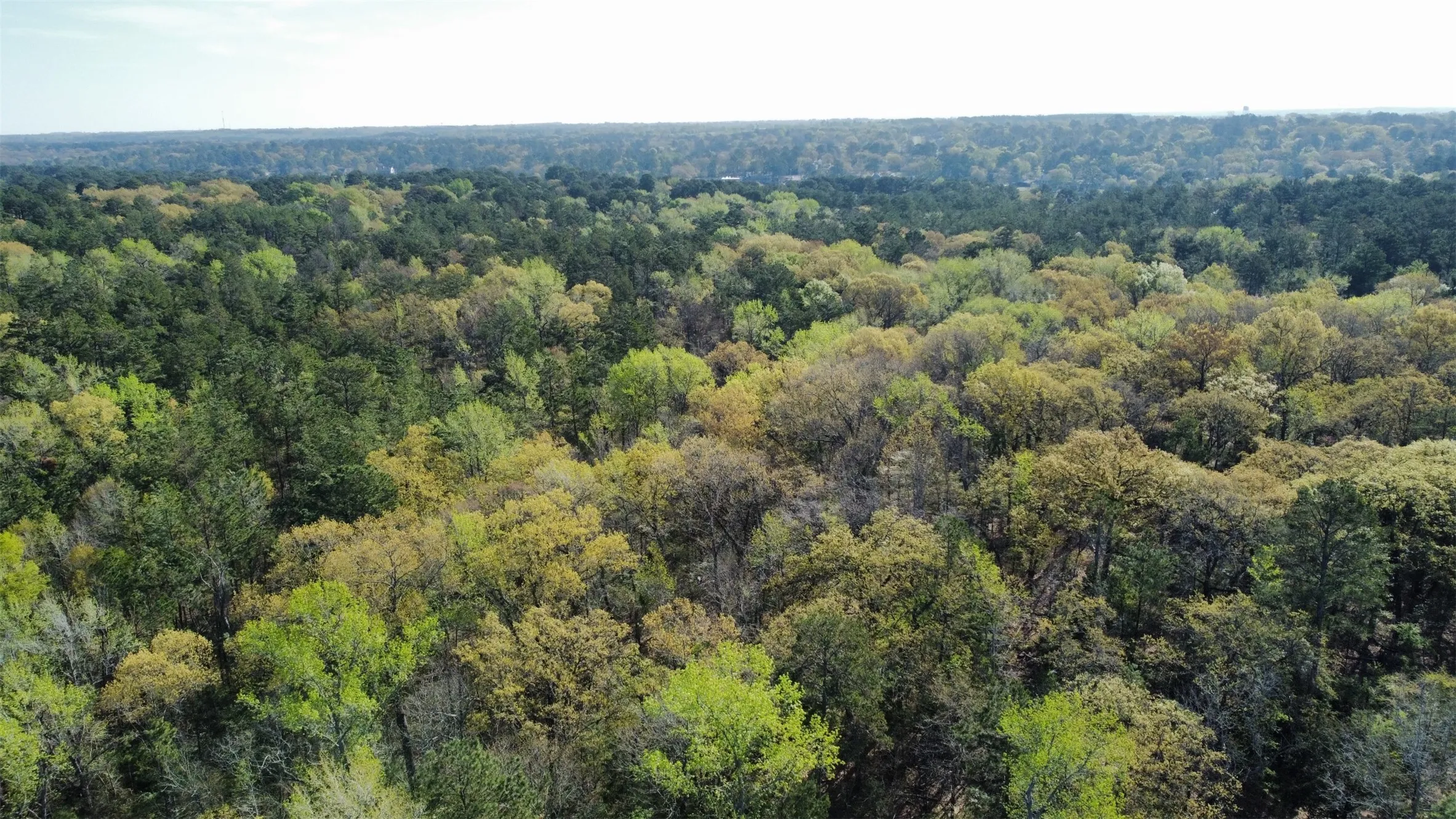 Unimproved Land For Sale in Smith County , 000 County Road 434, Lindale, Texas 75771, 0, 0, Garage spaces, 0 Sqft, built in 0, mls#20284183, Real Estate Agent in Lindale, Homes For Sale in Smith county, Homes For Sale in Lindale, Realtor in Lindale Texas, Real Estate Brokerage Independent Realty Texas, Luminita Cordes Realtor