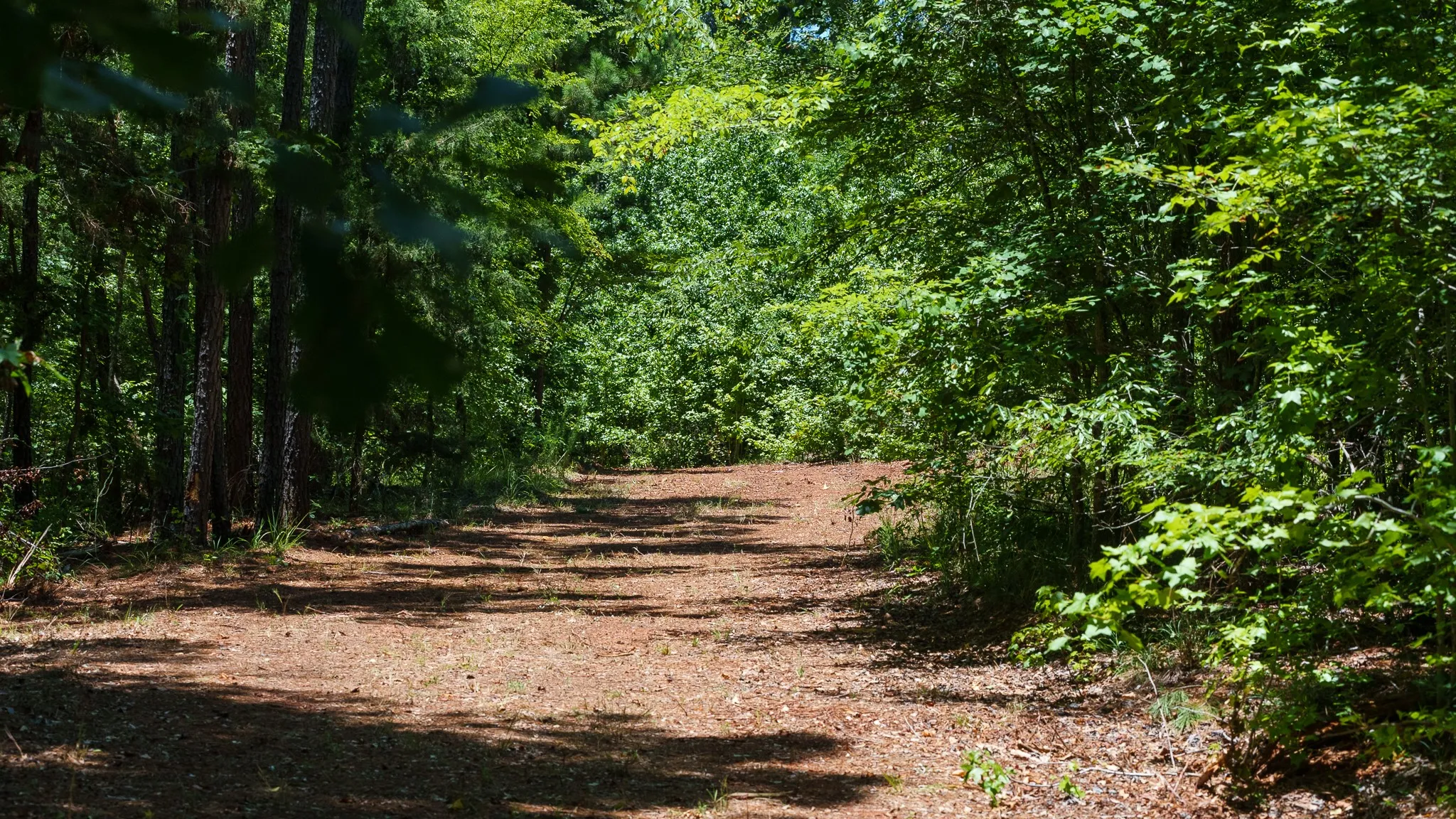 Unimproved Land For Sale in Smith County , 000 County Road 434, Lindale, Texas 75771, 0, 0, Garage spaces, 0 Sqft, built in 0, mls#20284183, Real Estate Agent in Lindale, Homes For Sale in Smith county, Homes For Sale in Lindale, Realtor in Lindale Texas, Real Estate Brokerage Independent Realty Texas, Luminita Cordes Realtor