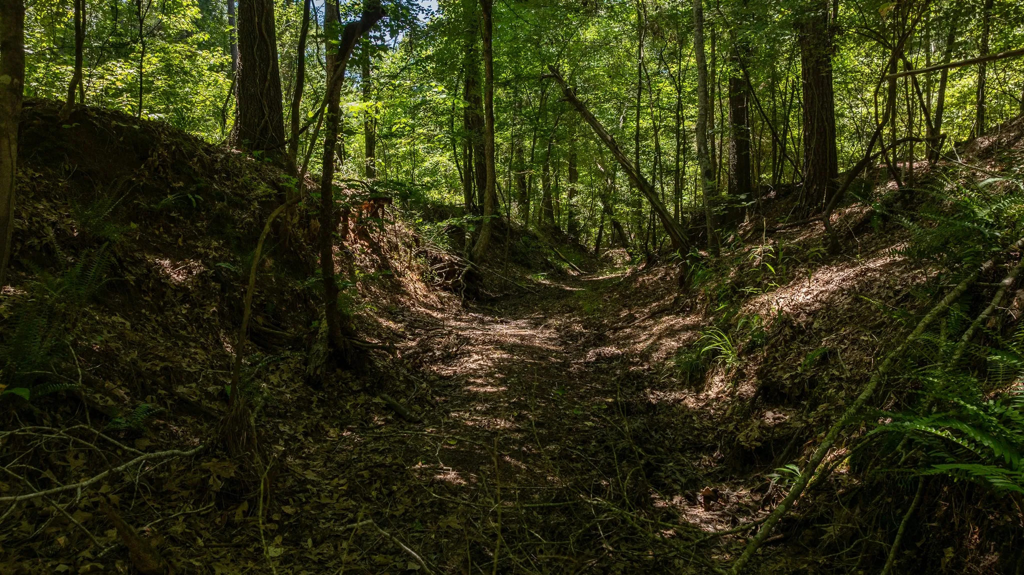 Unimproved Land For Sale in Smith County , 000 County Road 434, Lindale, Texas 75771, 0, 0, Garage spaces, 0 Sqft, built in 0, mls#20284183, Real Estate Agent in Lindale, Homes For Sale in Smith county, Homes For Sale in Lindale, Realtor in Lindale Texas, Real Estate Brokerage Independent Realty Texas, Luminita Cordes Realtor