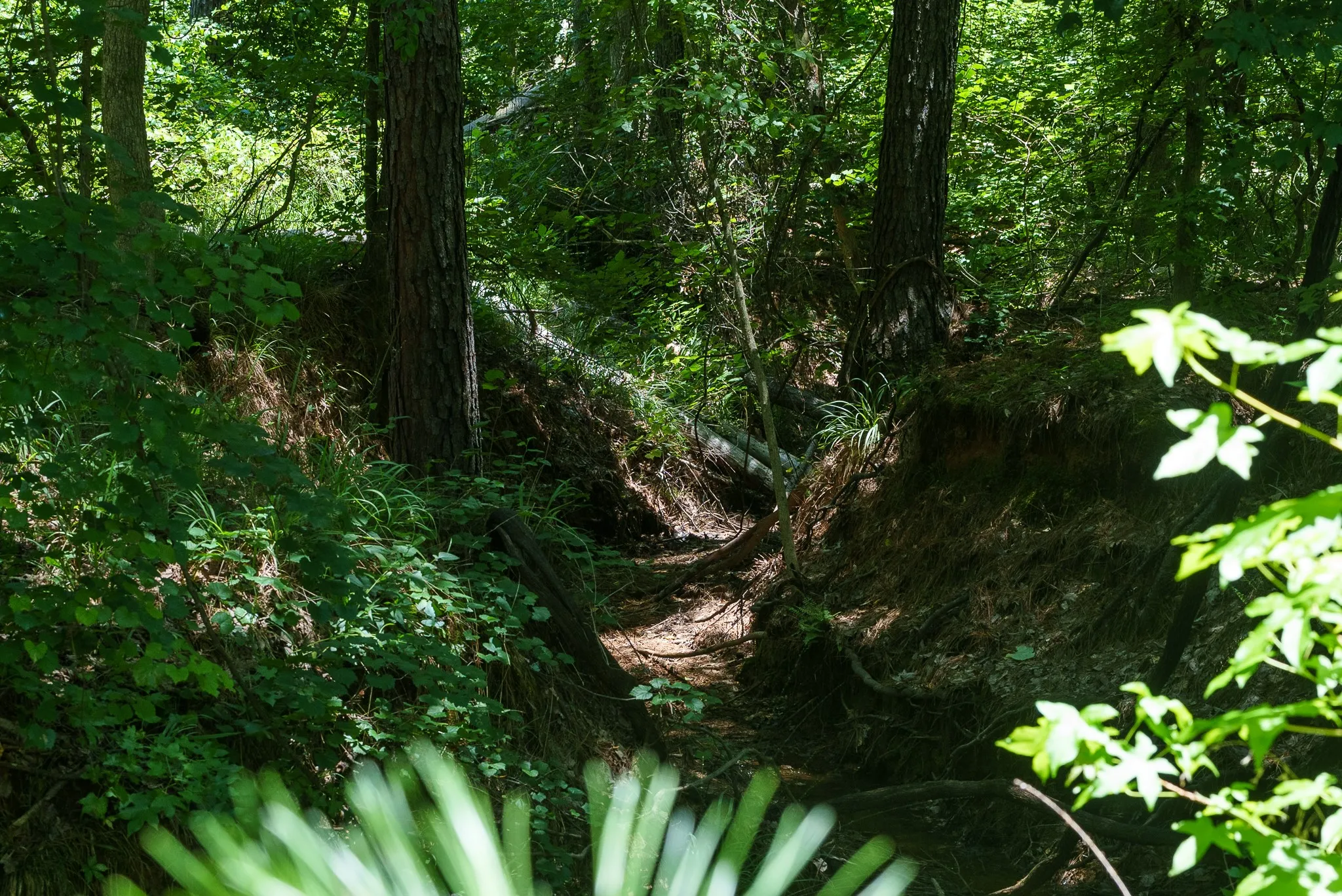Unimproved Land For Sale in Smith County , 000 County Road 434, Lindale, Texas 75771, 0, 0, Garage spaces, 0 Sqft, built in 0, mls#20284183, Real Estate Agent in Lindale, Homes For Sale in Smith county, Homes For Sale in Lindale, Realtor in Lindale Texas, Real Estate Brokerage Independent Realty Texas, Luminita Cordes Realtor
