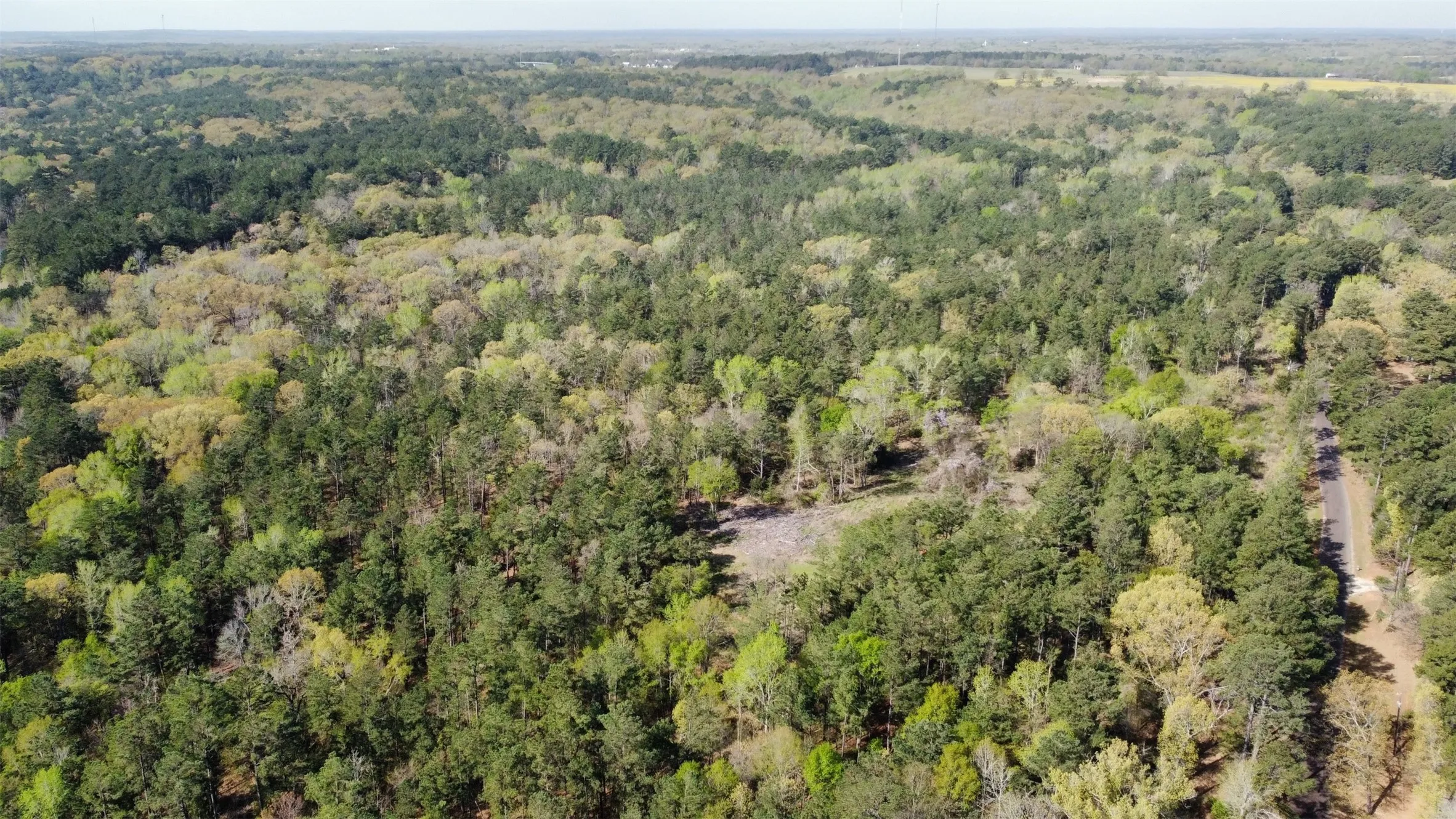 Unimproved Land For Sale in Smith County , 000 County Road 434, Lindale, Texas 75771, 0, 0, Garage spaces, 0 Sqft, built in 0, mls#20284183, Real Estate Agent in Lindale, Homes For Sale in Smith county, Homes For Sale in Lindale, Realtor in Lindale Texas, Real Estate Brokerage Independent Realty Texas, Luminita Cordes Realtor