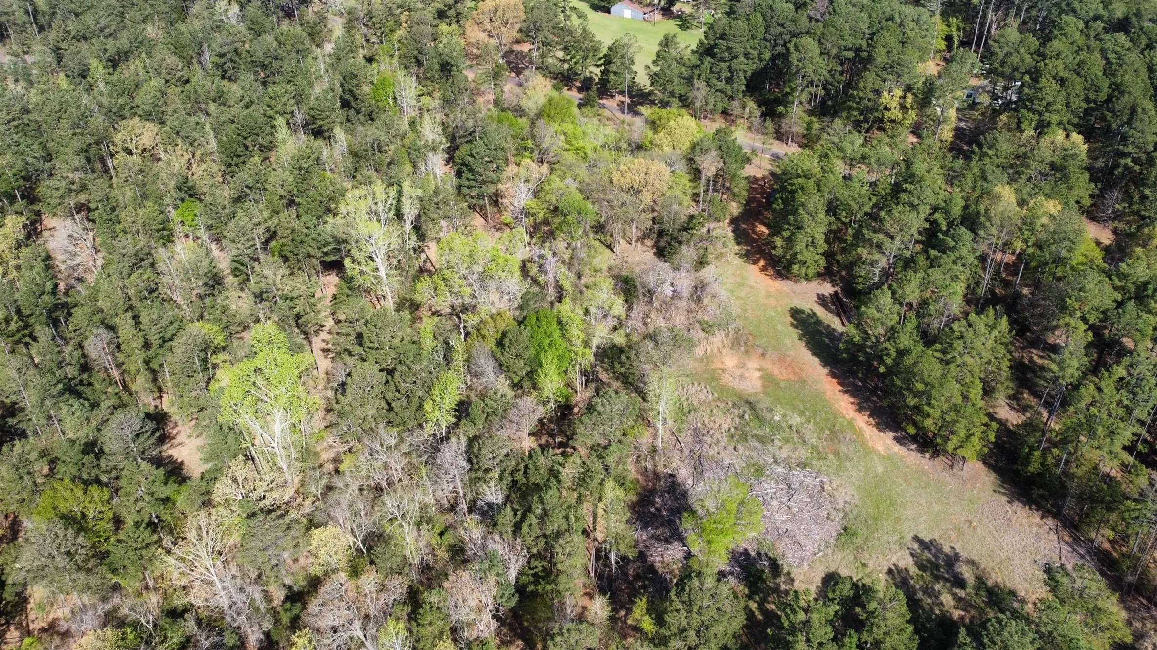 Unimproved Land For Sale in Smith County , 000 County Road 434, Lindale, Texas 75771, 0, 0, Garage spaces, 0 Sqft, built in 0, mls#20284183, Real Estate Agent in Lindale, Homes For Sale in Smith county, Homes For Sale in Lindale, Realtor in Lindale Texas, Real Estate Brokerage Independent Realty Texas, Luminita Cordes Realtor