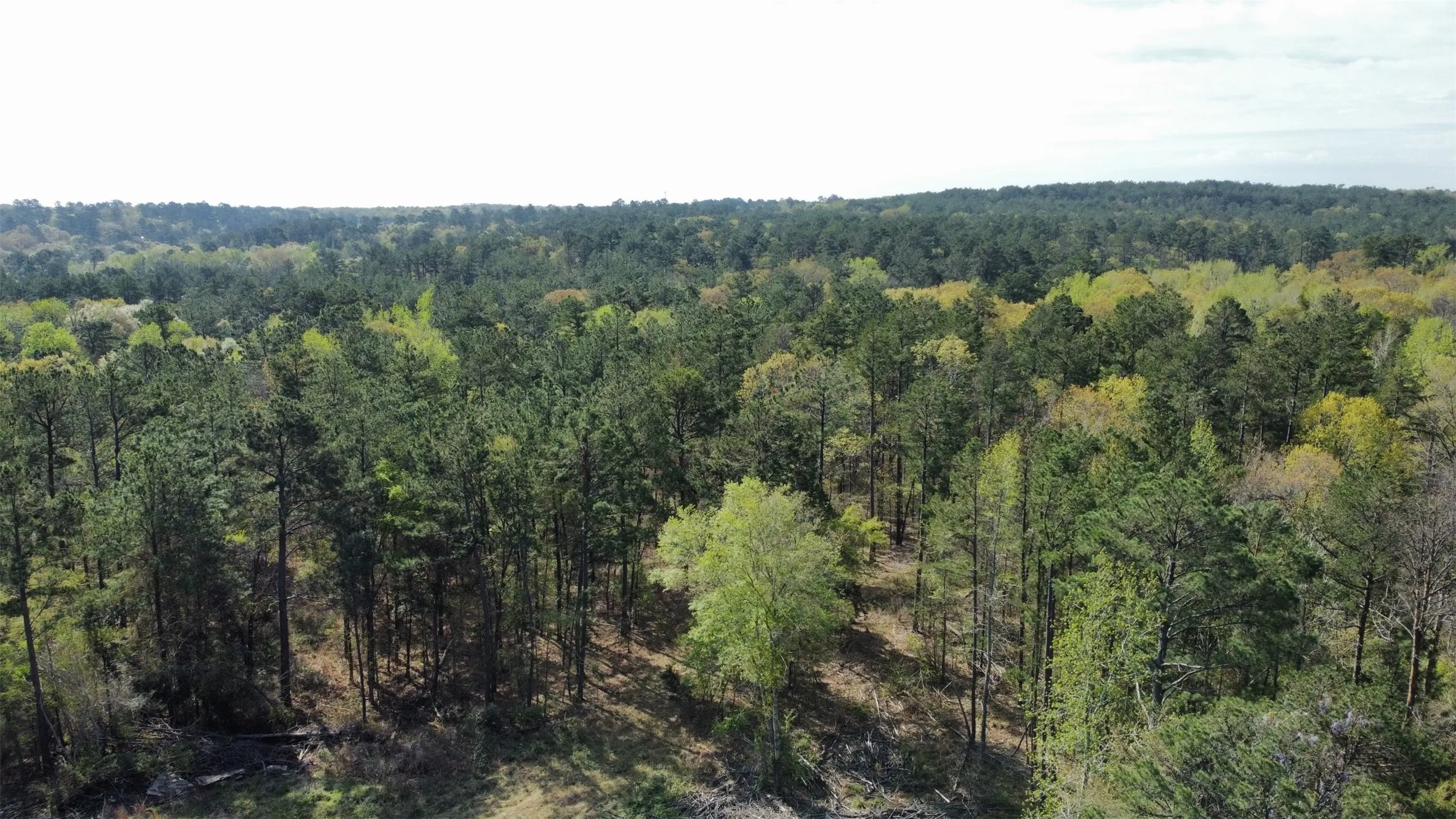 Unimproved Land For Sale in Smith County , 000 County Road 434, Lindale, Texas 75771, 0, 0, Garage spaces, 0 Sqft, built in 0, mls#20284183, Real Estate Agent in Lindale, Homes For Sale in Smith county, Homes For Sale in Lindale, Realtor in Lindale Texas, Real Estate Brokerage Independent Realty Texas, Luminita Cordes Realtor
