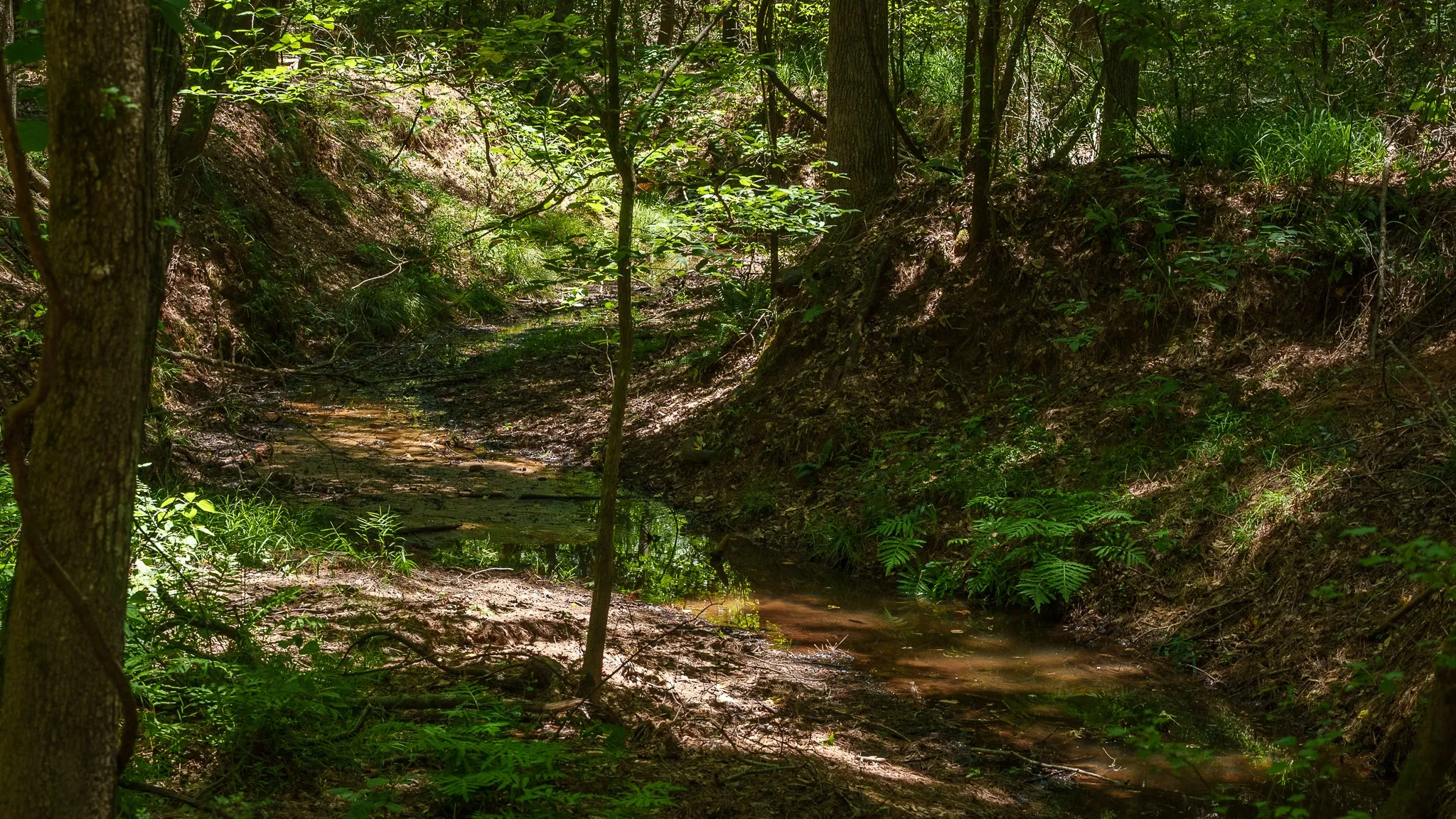 Unimproved Land For Sale in Smith County , 000 County Road 434, Lindale, Texas 75771, 0, 0, Garage spaces, 0 Sqft, built in 0, mls#20284183, Real Estate Agent in Lindale, Homes For Sale in Smith county, Homes For Sale in Lindale, Realtor in Lindale Texas, Real Estate Brokerage Independent Realty Texas, Luminita Cordes Realtor