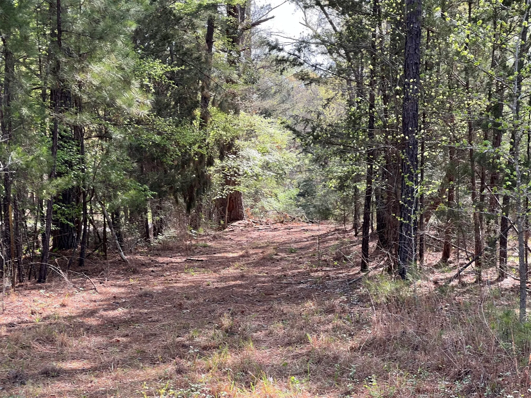 Unimproved Land For Sale in Smith County , 000 County Road 434, Lindale, Texas 75771, 0, 0, Garage spaces, 0 Sqft, built in 0, mls#20284183, Real Estate Agent in Lindale, Homes For Sale in Smith county, Homes For Sale in Lindale, Realtor in Lindale Texas, Real Estate Brokerage Independent Realty Texas, Luminita Cordes Realtor
