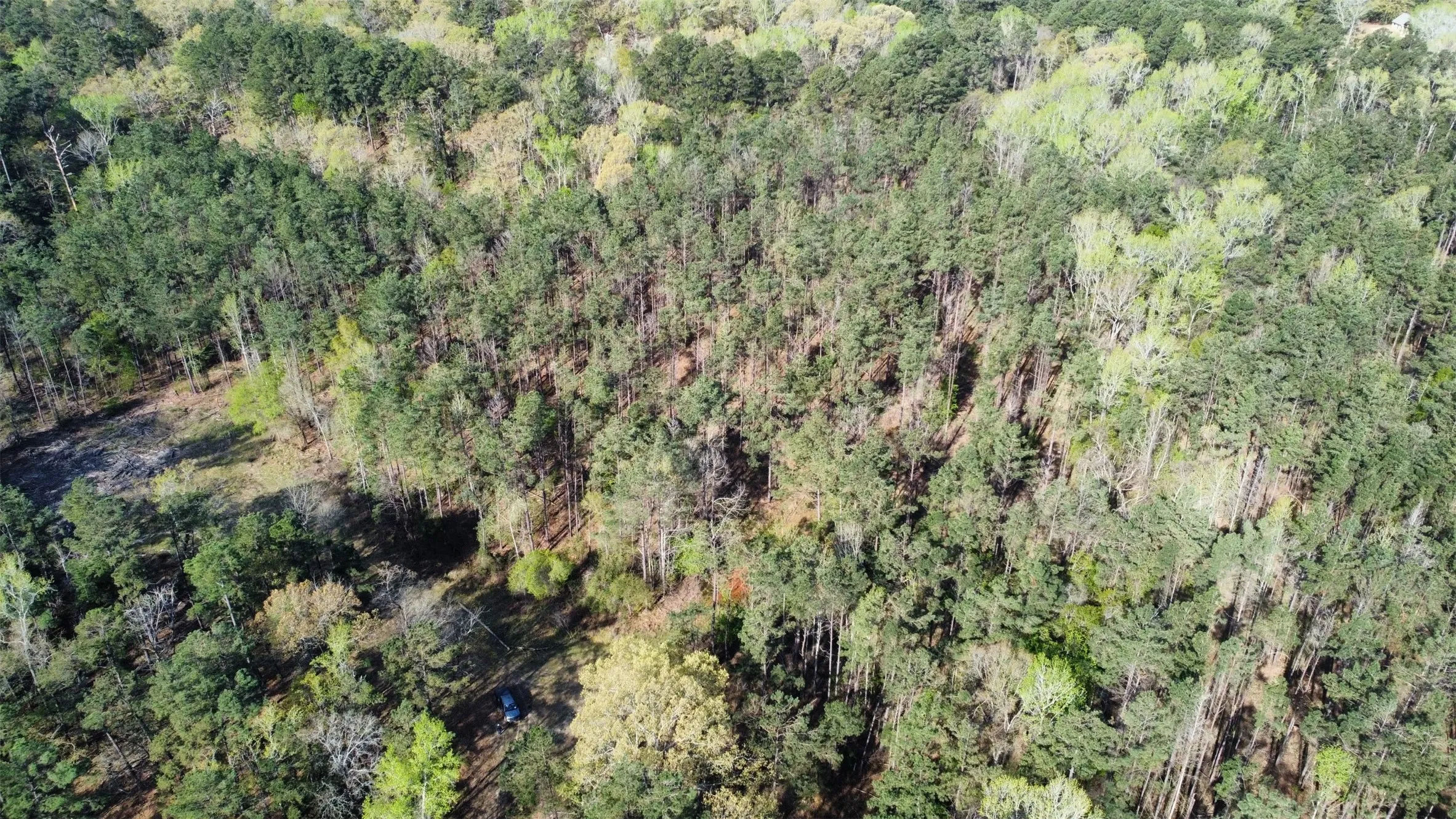 Unimproved Land For Sale in Smith County , 000 County Road 434, Lindale, Texas 75771, 0, 0, Garage spaces, 0 Sqft, built in 0, mls#20284183, Real Estate Agent in Lindale, Homes For Sale in Smith county, Homes For Sale in Lindale, Realtor in Lindale Texas, Real Estate Brokerage Independent Realty Texas, Luminita Cordes Realtor
