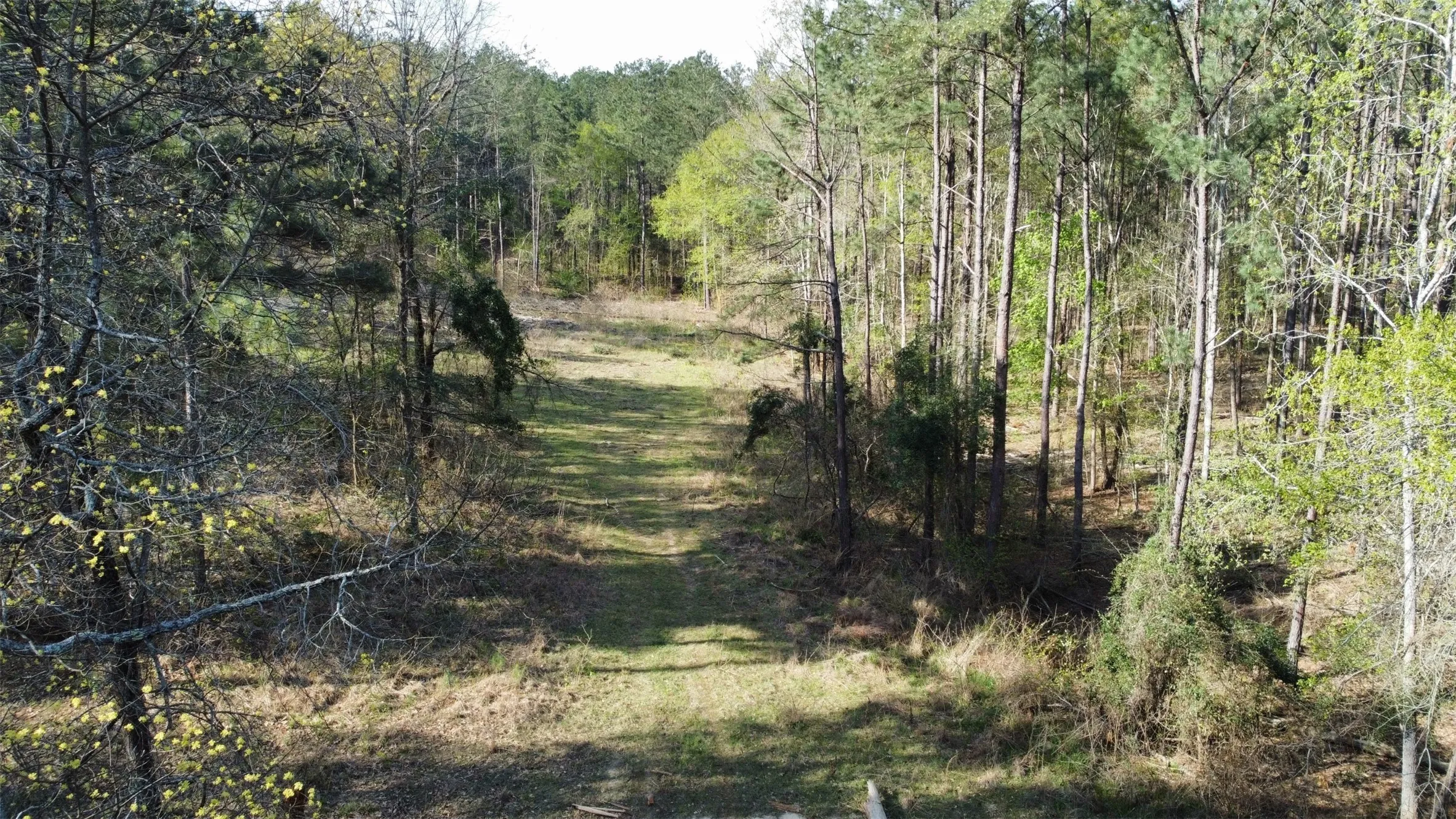 Unimproved Land For Sale in Smith County , 000 County Road 434, Lindale, Texas 75771, 0, 0, Garage spaces, 0 Sqft, built in 0, mls#20284183, Real Estate Agent in Lindale, Homes For Sale in Smith county, Homes For Sale in Lindale, Realtor in Lindale Texas, Real Estate Brokerage Independent Realty Texas, Luminita Cordes Realtor