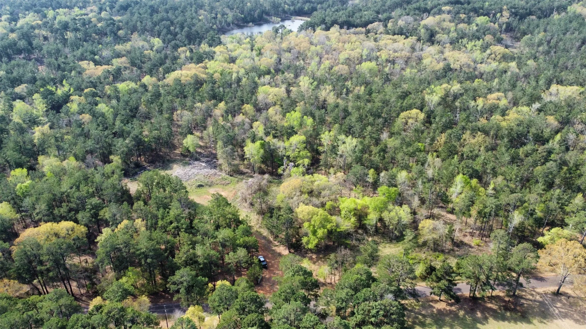 Unimproved Land For Sale in Smith County , 000 County Road 434, Lindale, Texas 75771, 0, 0, Garage spaces, 0 Sqft, built in 0, mls#20284183, Real Estate Agent in Lindale, Homes For Sale in Smith county, Homes For Sale in Lindale, Realtor in Lindale Texas, Real Estate Brokerage Independent Realty Texas, Luminita Cordes Realtor