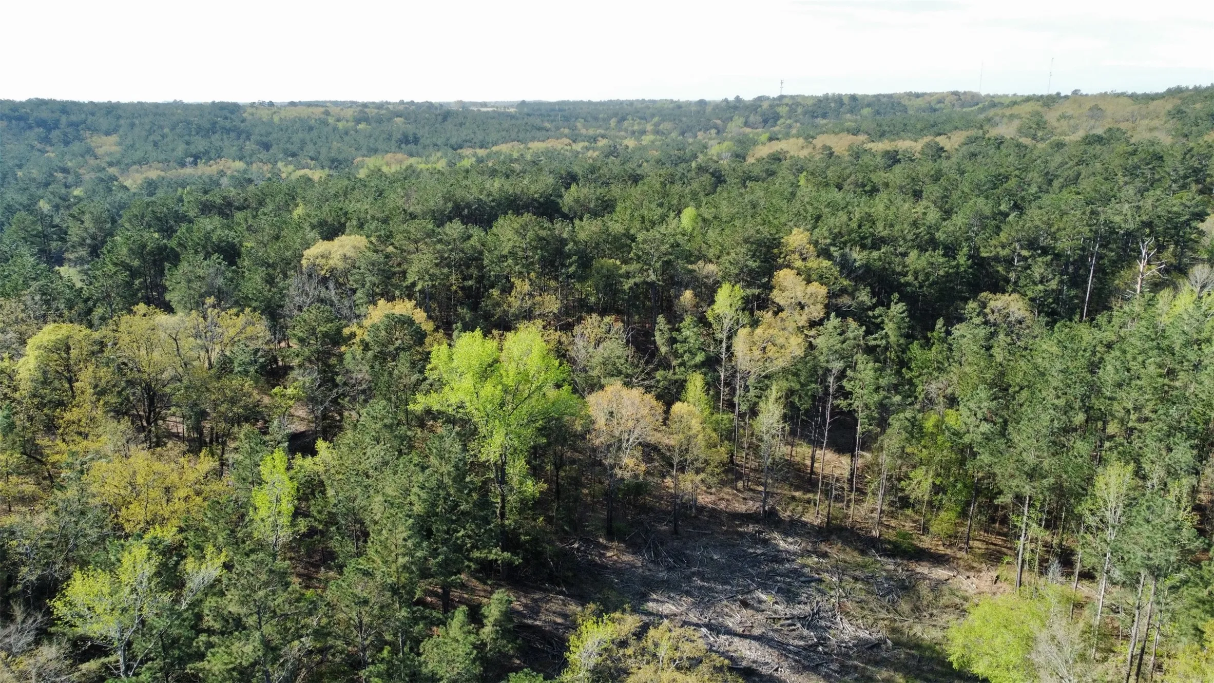 Unimproved Land For Sale in Smith County , 000 County Road 434, Lindale, Texas 75771, 0, 0, Garage spaces, 0 Sqft, built in 0, mls#20284183, Real Estate Agent in Lindale, Homes For Sale in Smith county, Homes For Sale in Lindale, Realtor in Lindale Texas, Real Estate Brokerage Independent Realty Texas, Luminita Cordes Realtor