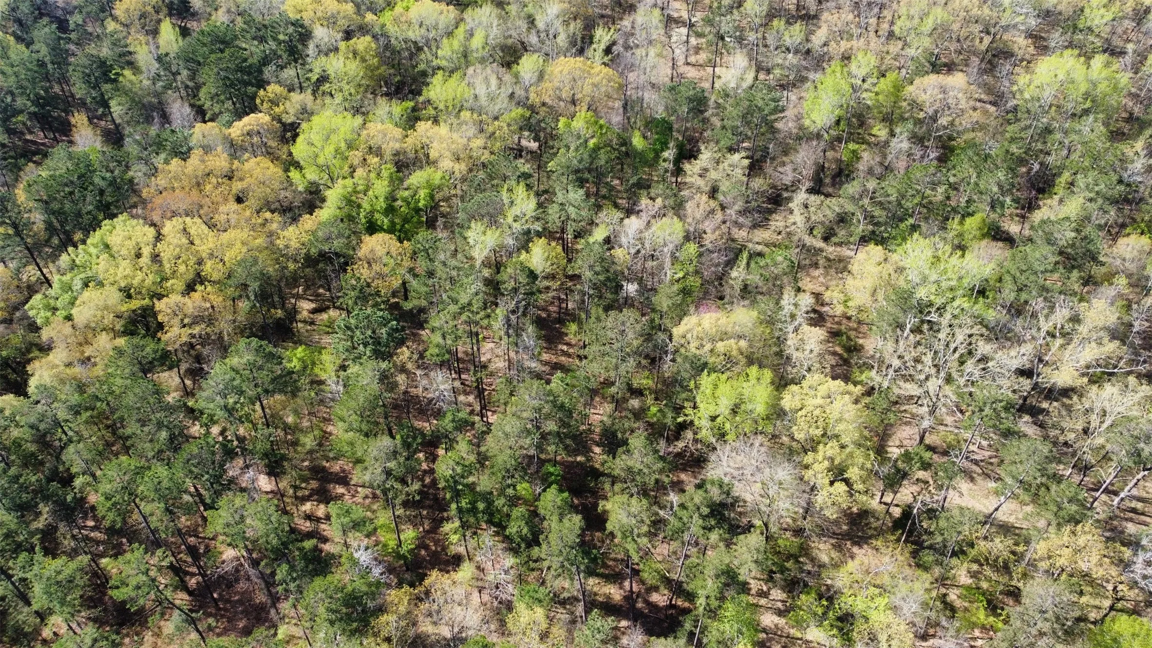 Unimproved Land For Sale in Smith County , 000 County Road 434, Lindale, Texas 75771, 0, 0, Garage spaces, 0 Sqft, built in 0, mls#20284183, Real Estate Agent in Lindale, Homes For Sale in Smith county, Homes For Sale in Lindale, Realtor in Lindale Texas, Real Estate Brokerage Independent Realty Texas, Luminita Cordes Realtor