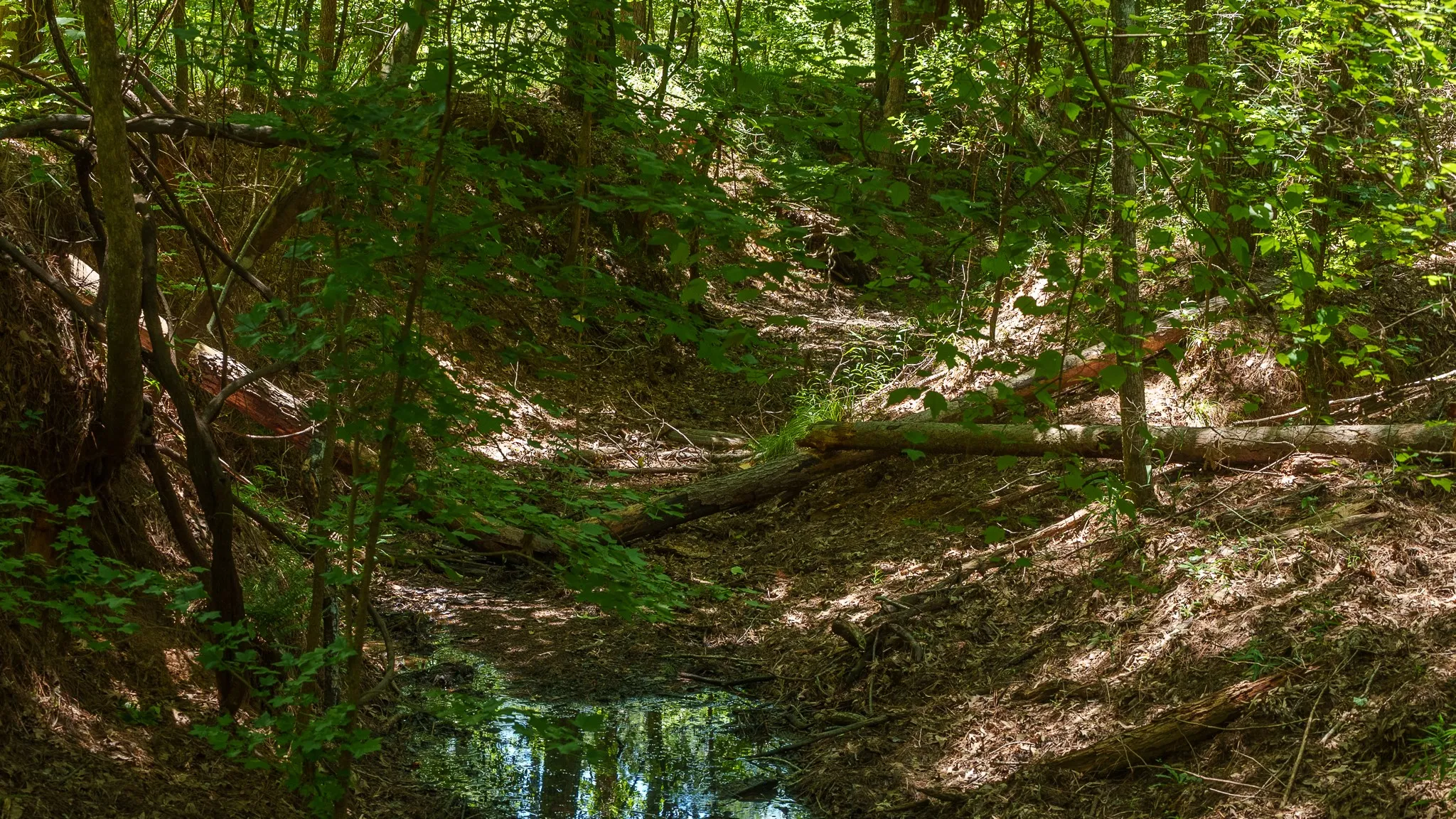 Unimproved Land For Sale in Smith County , 000 County Road 434, Lindale, Texas 75771, 0, 0, Garage spaces, 0 Sqft, built in 0, mls#20284183, Real Estate Agent in Lindale, Homes For Sale in Smith county, Homes For Sale in Lindale, Realtor in Lindale Texas, Real Estate Brokerage Independent Realty Texas, Luminita Cordes Realtor