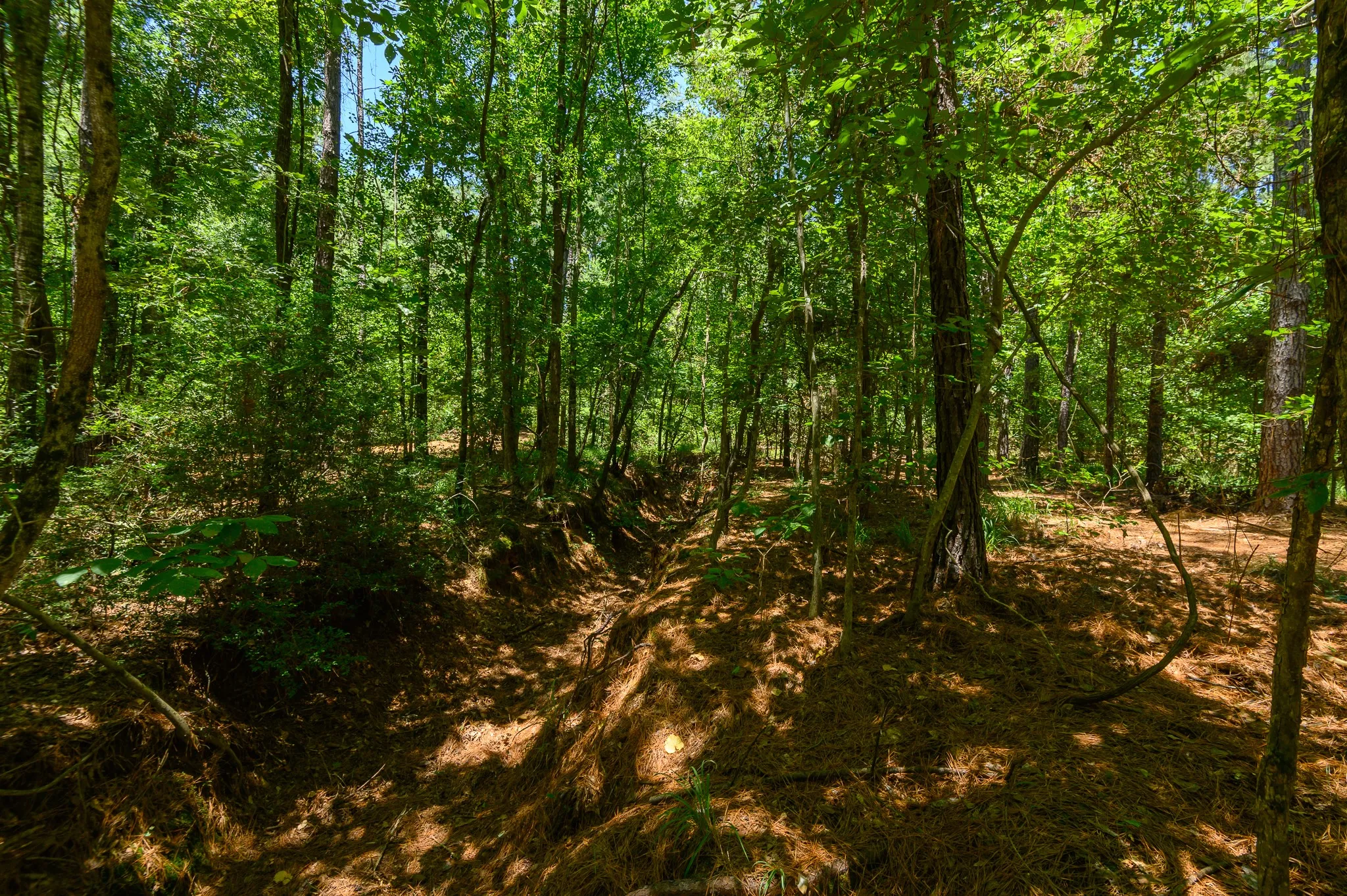 Unimproved Land For Sale in Smith County , 000 County Road 434, Lindale, Texas 75771, 0, 0, Garage spaces, 0 Sqft, built in 0, mls#20284183, Real Estate Agent in Lindale, Homes For Sale in Smith county, Homes For Sale in Lindale, Realtor in Lindale Texas, Real Estate Brokerage Independent Realty Texas, Luminita Cordes Realtor
