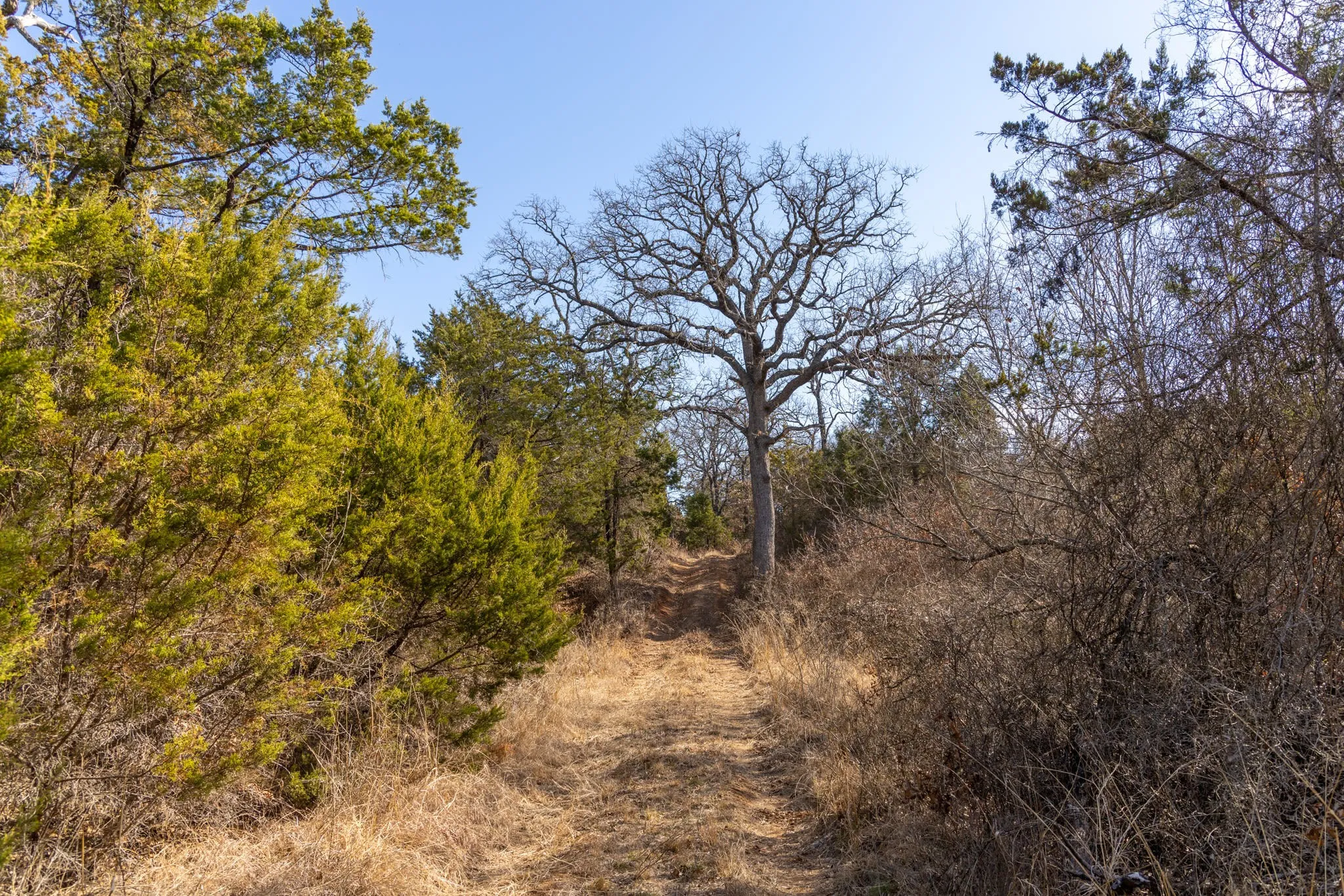 Unimproved Land For Sale in Erath County , TBD County Road 175, Stephenville, Texas 76401, 0, 0, Garage spaces, 0 Sqft, built in 0, Price $1,411,346, mls#20285781, Real Estate Agent in Stephenville, Homes For Sale in Erath county, Homes For Sale in Stephenville, Realtor in Stephenville Texas, Real Estate Brokerage Independent Realty Texas, Luminita Cordes Realtor