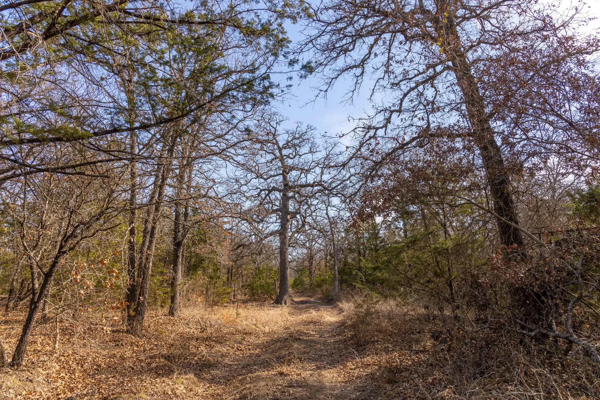 Unimproved Land For Sale in Erath County , TBD County Road 175, Stephenville, Texas 76401, 0, 0, Garage spaces, 0 Sqft, built in 0, Price $1,411,346, mls#20285781, Real Estate Agent in Stephenville, Homes For Sale in Erath county, Homes For Sale in Stephenville, Realtor in Stephenville Texas, Real Estate Brokerage Independent Realty Texas, Luminita Cordes Realtor