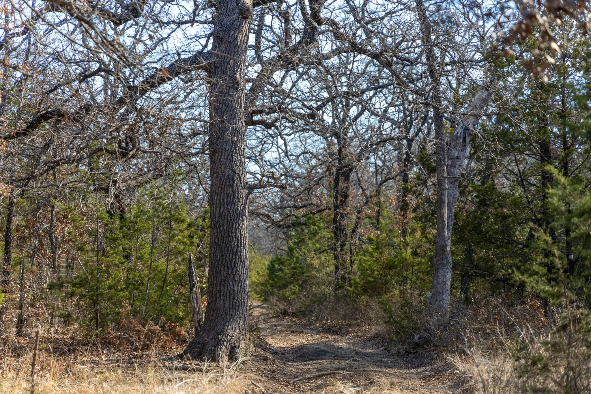 Unimproved Land For Sale in Erath County , TBD County Road 175, Stephenville, Texas 76401, 0, 0, Garage spaces, 0 Sqft, built in 0, Price $1,411,346, mls#20285781, Real Estate Agent in Stephenville, Homes For Sale in Erath county, Homes For Sale in Stephenville, Realtor in Stephenville Texas, Real Estate Brokerage Independent Realty Texas, Luminita Cordes Realtor