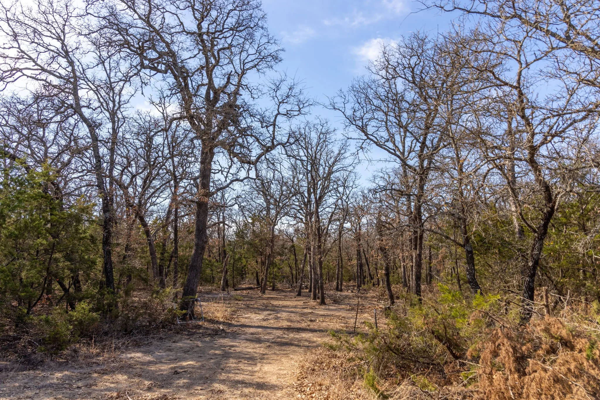 Unimproved Land For Sale in Erath County , TBD County Road 175, Stephenville, Texas 76401, 0, 0, Garage spaces, 0 Sqft, built in 0, Price $1,411,346, mls#20285781, Real Estate Agent in Stephenville, Homes For Sale in Erath county, Homes For Sale in Stephenville, Realtor in Stephenville Texas, Real Estate Brokerage Independent Realty Texas, Luminita Cordes Realtor