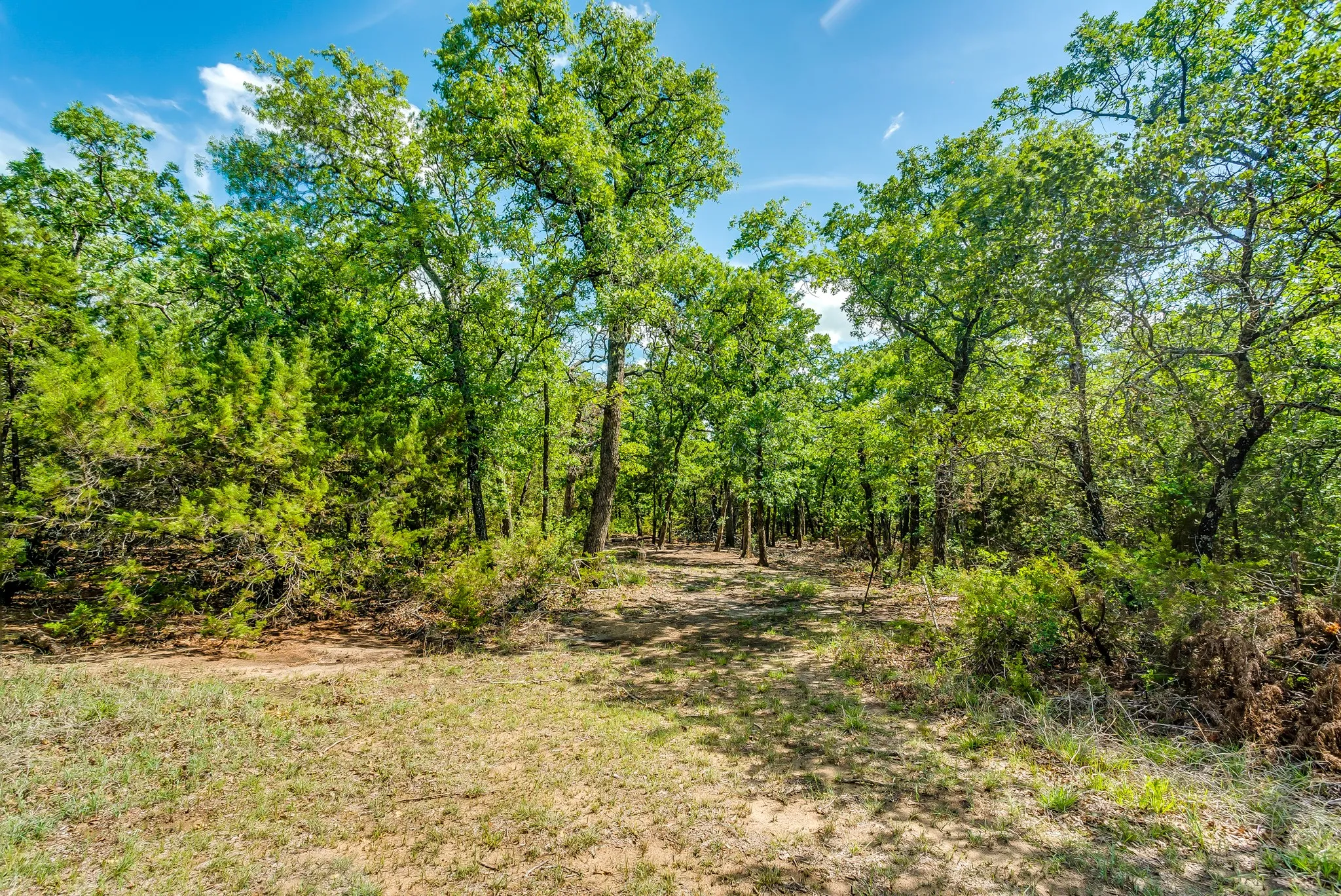 Unimproved Land For Sale in Erath County , TBD County Road 175, Stephenville, Texas 76401, 0, 0, Garage spaces, 0 Sqft, built in 0, Price $1,411,346, mls#20285781, Real Estate Agent in Stephenville, Homes For Sale in Erath county, Homes For Sale in Stephenville, Realtor in Stephenville Texas, Real Estate Brokerage Independent Realty Texas, Luminita Cordes Realtor