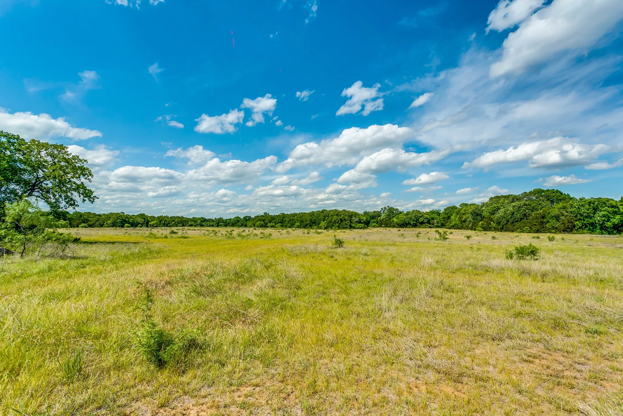 Unimproved Land For Sale in Erath County , TBD County Road 175, Stephenville, Texas 76401, 0, 0, Garage spaces, 0 Sqft, built in 0, Price $1,411,346, mls#20285781, Real Estate Agent in Stephenville, Homes For Sale in Erath county, Homes For Sale in Stephenville, Realtor in Stephenville Texas, Real Estate Brokerage Independent Realty Texas, Luminita Cordes Realtor