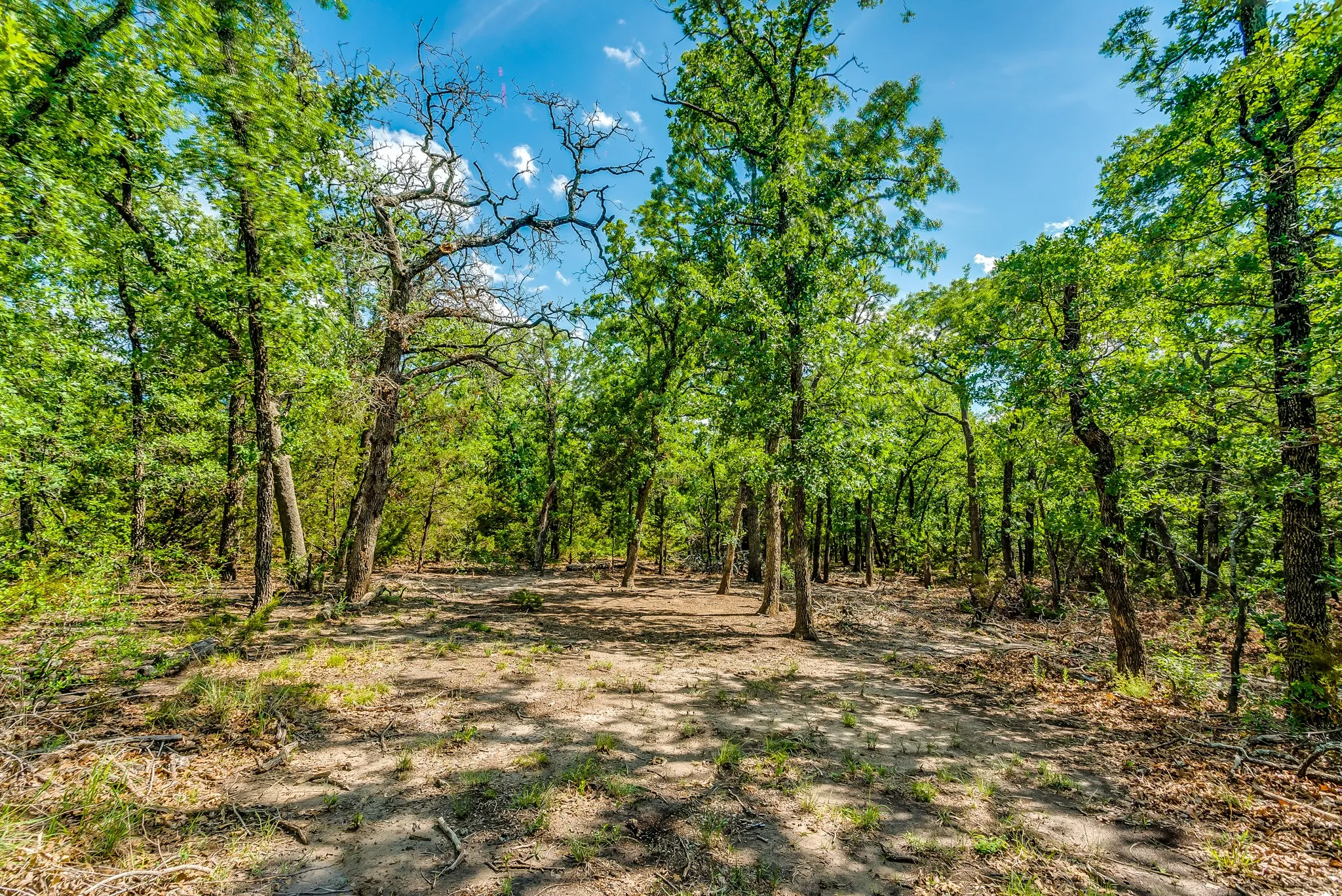 Unimproved Land For Sale in Erath County , TBD County Road 175, Stephenville, Texas 76401, 0, 0, Garage spaces, 0 Sqft, built in 0, Price $1,411,346, mls#20285781, Real Estate Agent in Stephenville, Homes For Sale in Erath county, Homes For Sale in Stephenville, Realtor in Stephenville Texas, Real Estate Brokerage Independent Realty Texas, Luminita Cordes Realtor