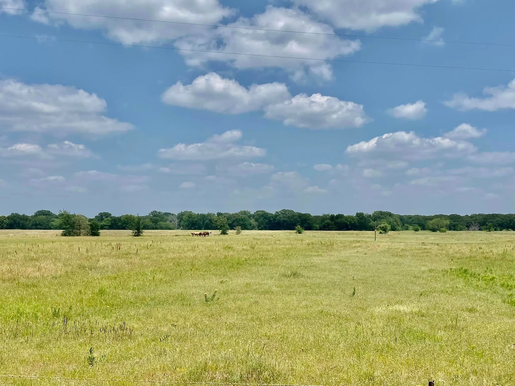 Single Family Residence For Sale in Kaufman County , 12053 S HWY 34, Scurry, Texas 75158, 3 Bedroom, 2 Bathroom, 2 Garage spaces, 1,646 Sqft, built in 1994, Preowned, mls#20298010, Real Estate Agent in Scurry, Homes For Sale in Kaufman county, Homes For Sale in Scurry, Realtor in Scurry Texas, Real Estate Brokerage Independent Realty Texas, Luminita Cordes Realtor