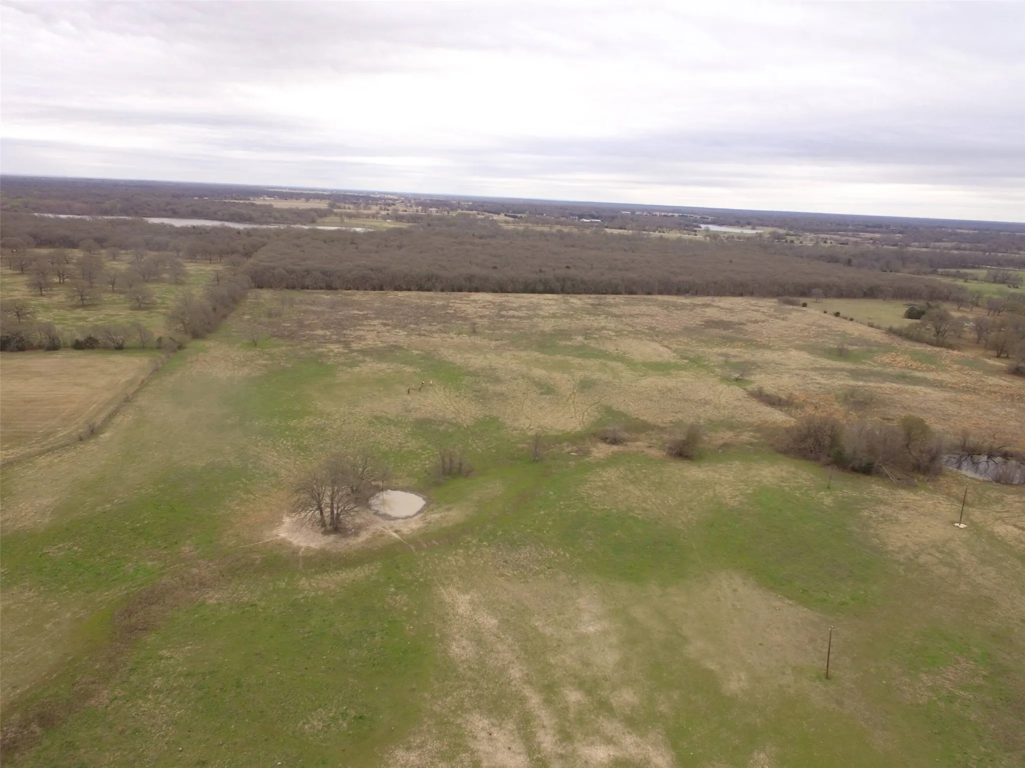 Single Family Residence For Sale in Kaufman County , 12053 S HWY 34, Scurry, Texas 75158, 3 Bedroom, 2 Bathroom, 2 Garage spaces, 1,646 Sqft, built in 1994, Preowned, mls#20298010, Real Estate Agent in Scurry, Homes For Sale in Kaufman county, Homes For Sale in Scurry, Realtor in Scurry Texas, Real Estate Brokerage Independent Realty Texas, Luminita Cordes Realtor