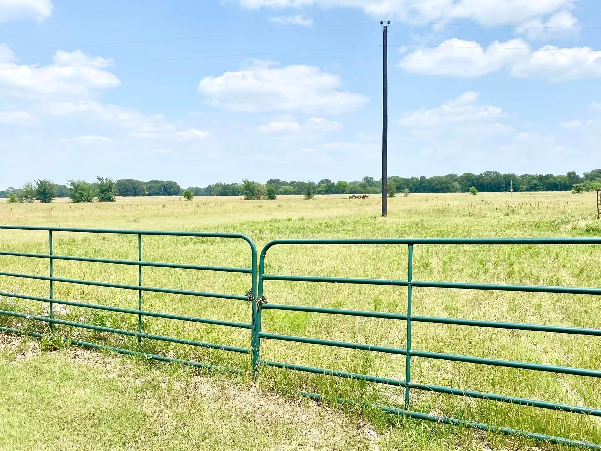 Single Family Residence For Sale in Kaufman County , 12053 S HWY 34, Scurry, Texas 75158, 3 Bedroom, 2 Bathroom, 2 Garage spaces, 1,646 Sqft, built in 1994, Preowned, mls#20298010, Real Estate Agent in Scurry, Homes For Sale in Kaufman county, Homes For Sale in Scurry, Realtor in Scurry Texas, Real Estate Brokerage Independent Realty Texas, Luminita Cordes Realtor