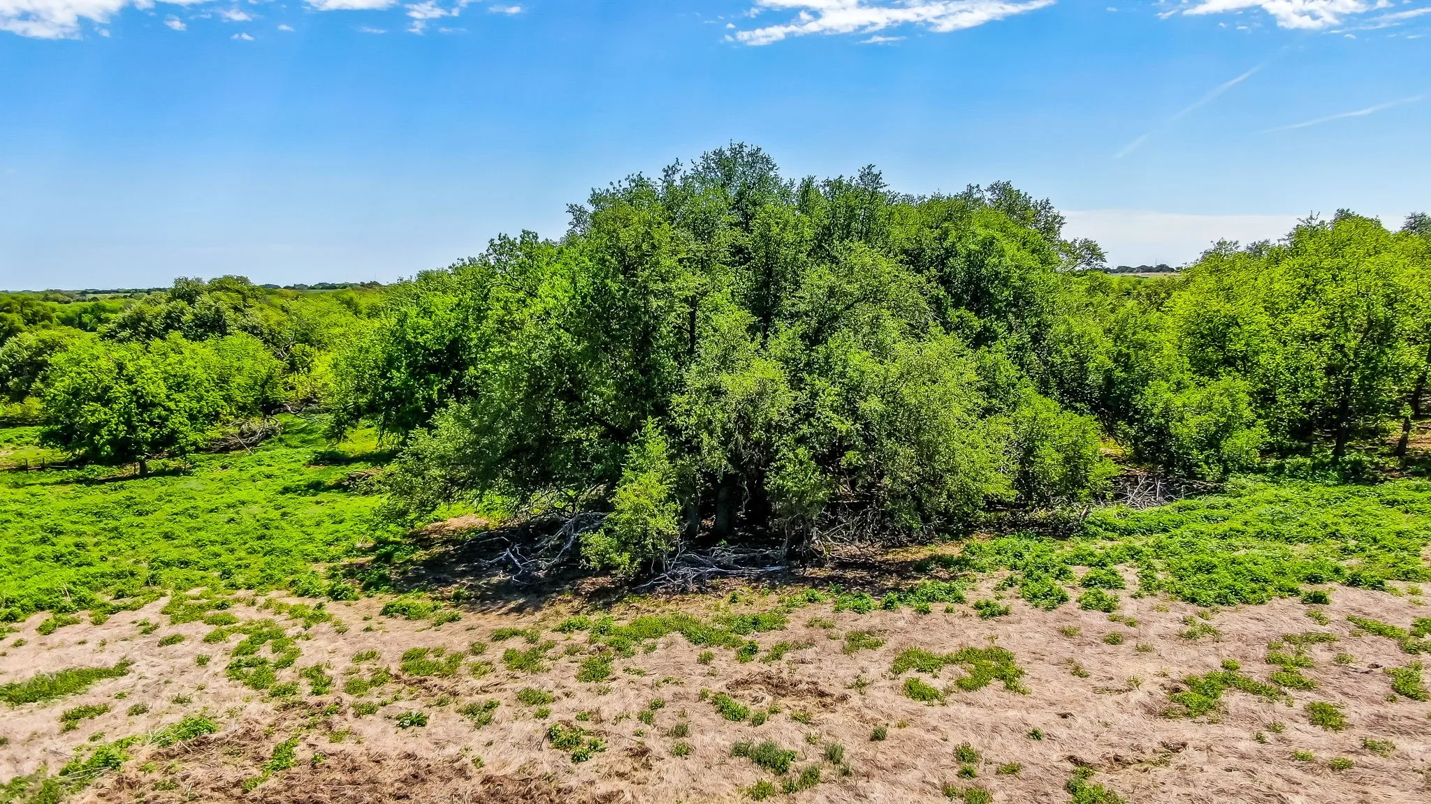 Unimproved Land For Sale in Erath County , TBD County Road 392 3, Stephenville, Texas 76401, 0, 0, Garage spaces, 0 Sqft, built in 2005, Price $200,000, mls#20298080, Real Estate Agent in Stephenville, Homes For Sale in Erath county, Homes For Sale in Stephenville, Realtor in Stephenville Texas, Real Estate Brokerage Independent Realty Texas, Luminita Cordes Realtor