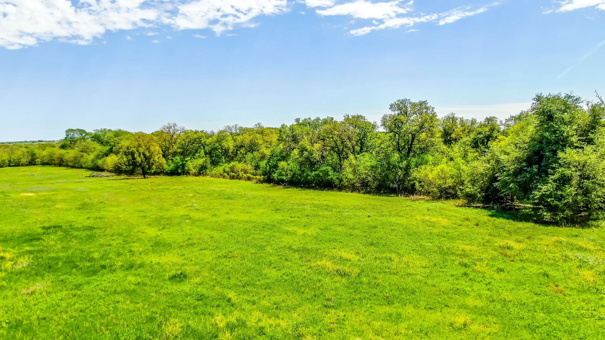 Unimproved Land For Sale in Erath County , TBD County Road 392 4, Stephenville, Texas 76401, 0, 0, Garage spaces, 0 Sqft, built in 2005, Price $200,000, mls#20298086, Real Estate Agent in Stephenville, Homes For Sale in Erath county, Homes For Sale in Stephenville, Realtor in Stephenville Texas, Real Estate Brokerage Independent Realty Texas, Luminita Cordes Realtor