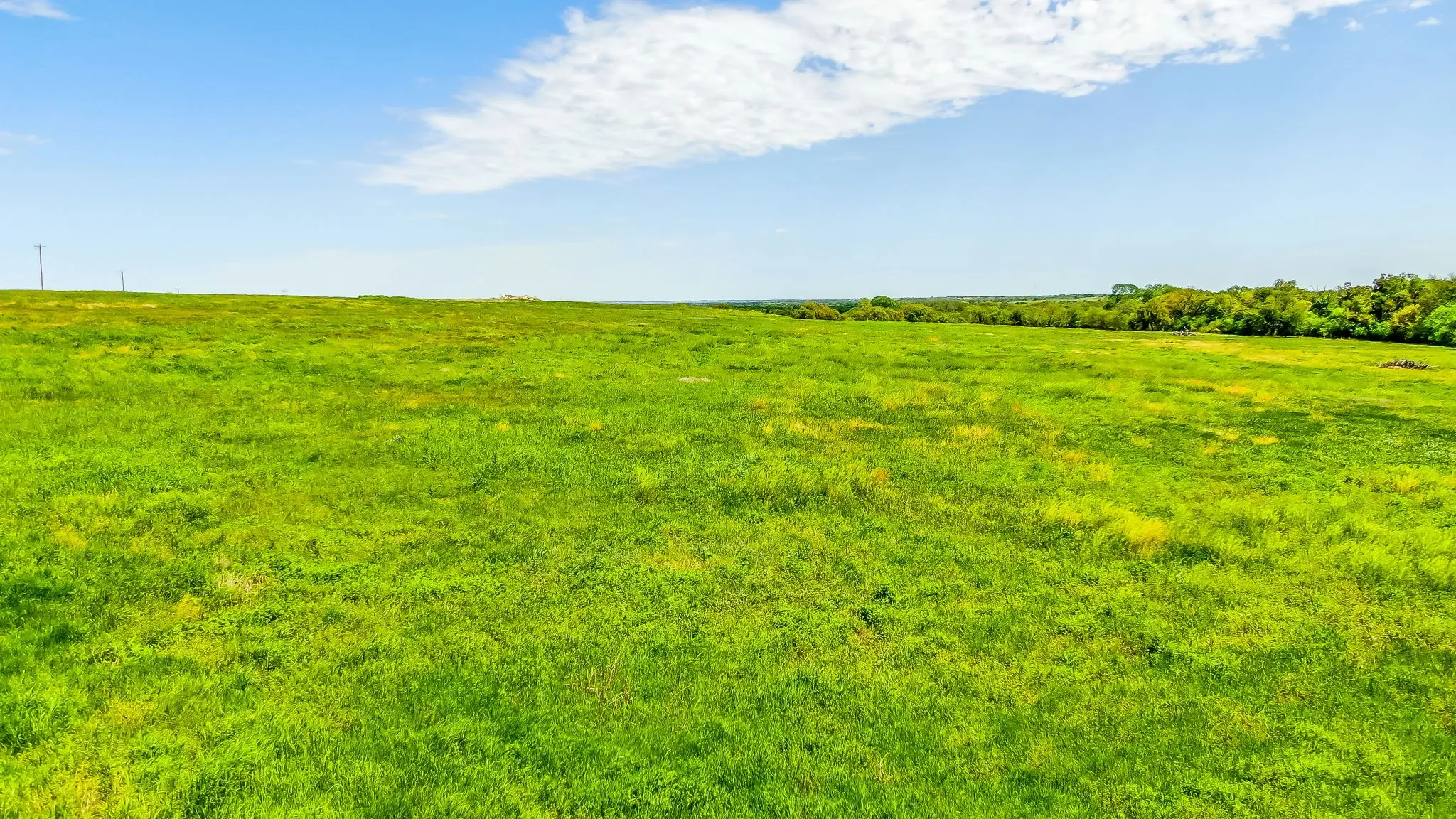 Unimproved Land For Sale in Erath County , TBD County Road 392 4, Stephenville, Texas 76401, 0, 0, Garage spaces, 0 Sqft, built in 2005, Price $200,000, mls#20298086, Real Estate Agent in Stephenville, Homes For Sale in Erath county, Homes For Sale in Stephenville, Realtor in Stephenville Texas, Real Estate Brokerage Independent Realty Texas, Luminita Cordes Realtor