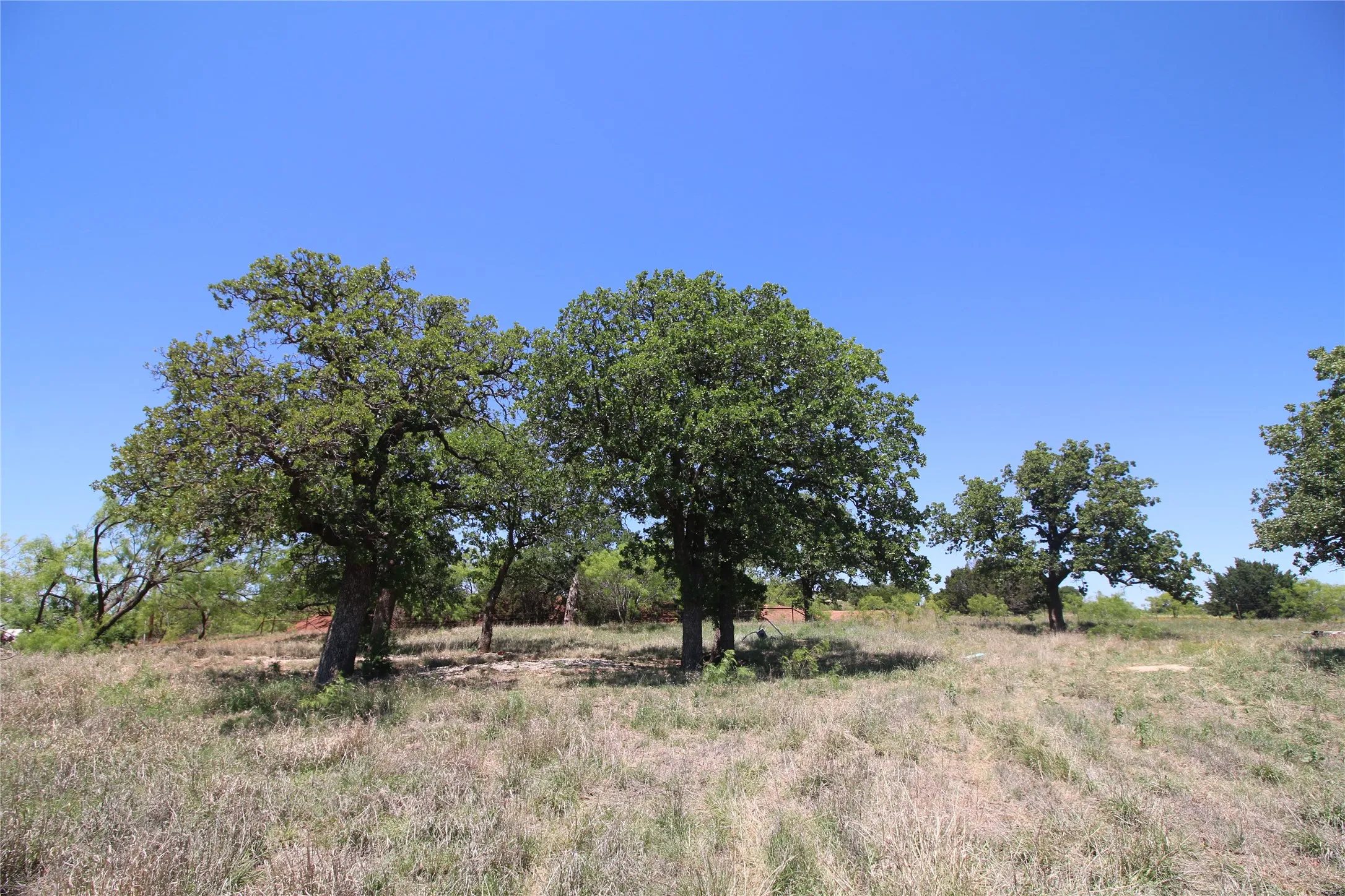 Unimproved Land For Sale in Taylor County , 258 Marshal Trail, Tuscola, Texas 79562, 0, 0, Garage spaces, 0 Sqft, built in 0, mls#20310594, Real Estate Agent in Tuscola, Homes For Sale in Taylor county, Homes For Sale in Tuscola, Realtor in Tuscola Texas, Real Estate Brokerage Independent Realty Texas, Luminita Cordes Realtor