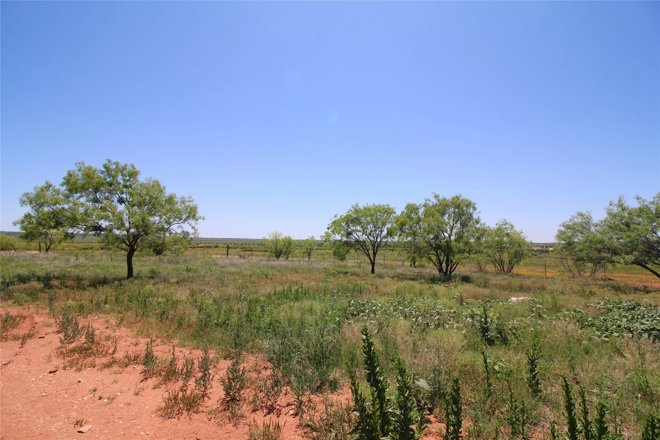 Unimproved Land For Sale in Taylor County , 258 Marshal Trail, Tuscola, Texas 79562, 0, 0, Garage spaces, 0 Sqft, built in 0, mls#20310594, Real Estate Agent in Tuscola, Homes For Sale in Taylor county, Homes For Sale in Tuscola, Realtor in Tuscola Texas, Real Estate Brokerage Independent Realty Texas, Luminita Cordes Realtor