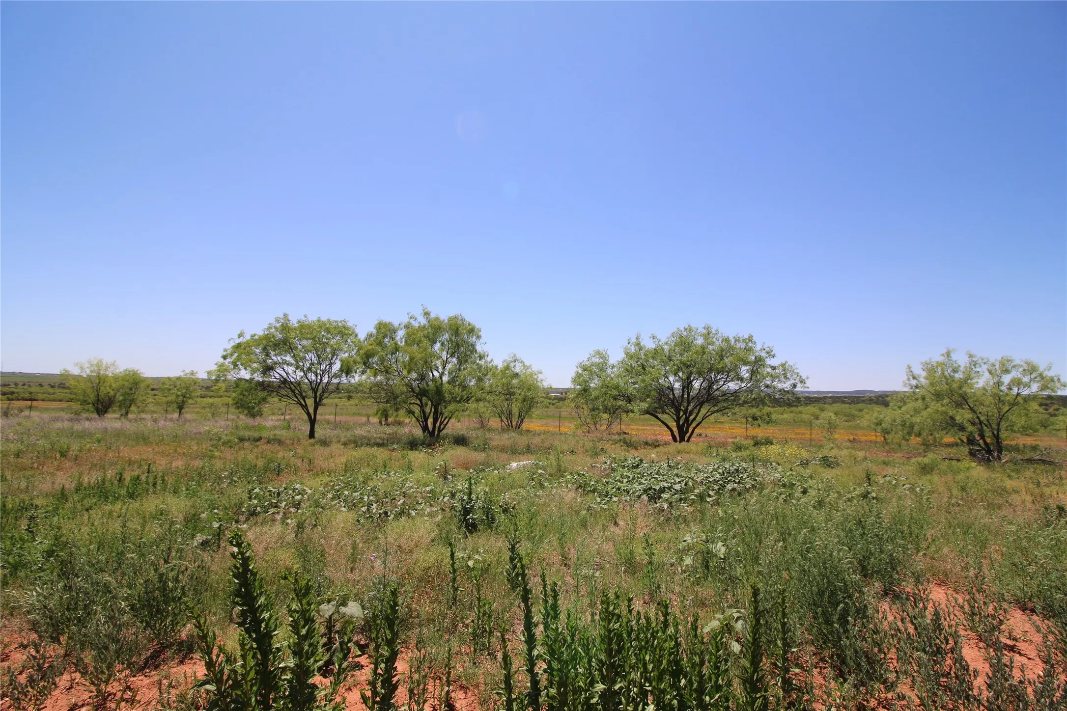Unimproved Land For Sale in Taylor County , 258 Marshal Trail, Tuscola, Texas 79562, 0, 0, Garage spaces, 0 Sqft, built in 0, mls#20310594, Real Estate Agent in Tuscola, Homes For Sale in Taylor county, Homes For Sale in Tuscola, Realtor in Tuscola Texas, Real Estate Brokerage Independent Realty Texas, Luminita Cordes Realtor