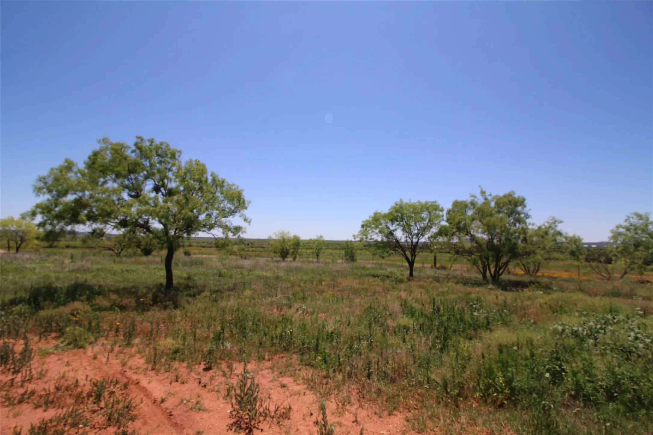 Unimproved Land For Sale in Taylor County , 258 Marshal Trail, Tuscola, Texas 79562, 0, 0, Garage spaces, 0 Sqft, built in 0, mls#20310594, Real Estate Agent in Tuscola, Homes For Sale in Taylor county, Homes For Sale in Tuscola, Realtor in Tuscola Texas, Real Estate Brokerage Independent Realty Texas, Luminita Cordes Realtor
