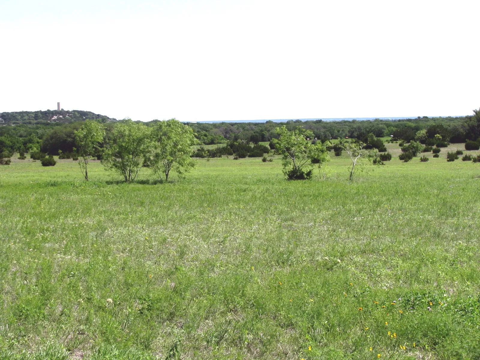 Single Family Residence For Sale in Coryell County , 6630 Fm 183, Evant, Texas 76525, 3 Bedroom, 2 Bathroom, Garage spaces, 1,134 Sqft, built in 1955, Preowned, mls#20316004, Real Estate Agent in Evant, Homes For Sale in Coryell county, Homes For Sale in Evant, Realtor in Evant Texas, Real Estate Brokerage Independent Realty Texas, Luminita Cordes Realtor
