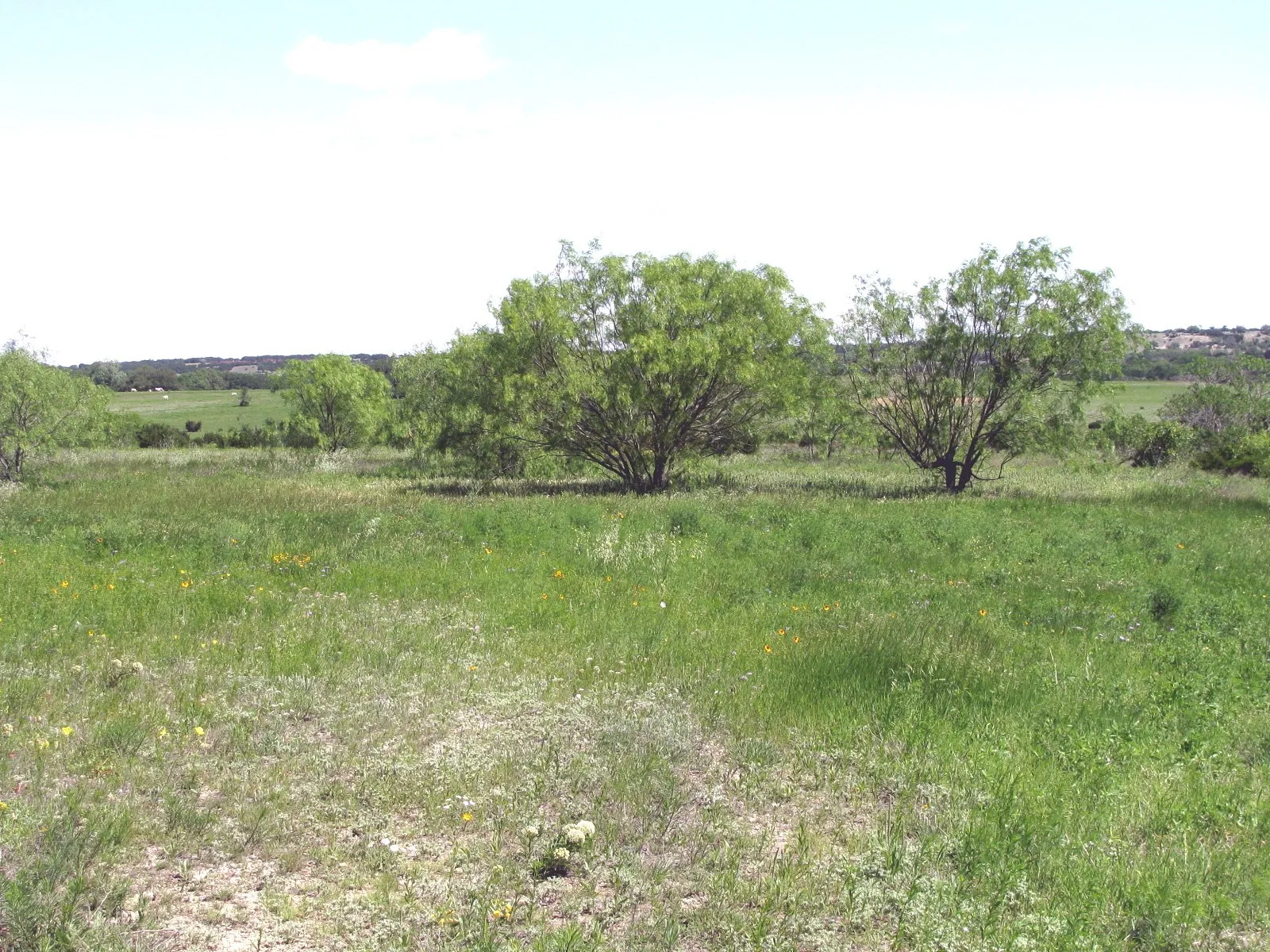 Single Family Residence For Sale in Coryell County , 6630 Fm 183, Evant, Texas 76525, 3 Bedroom, 2 Bathroom, Garage spaces, 1,134 Sqft, built in 1955, Preowned, mls#20316004, Real Estate Agent in Evant, Homes For Sale in Coryell county, Homes For Sale in Evant, Realtor in Evant Texas, Real Estate Brokerage Independent Realty Texas, Luminita Cordes Realtor
