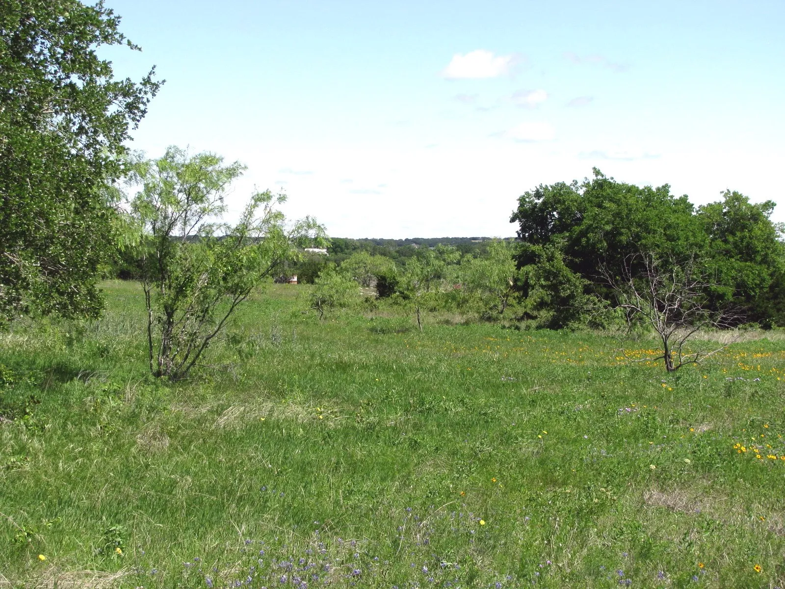 Single Family Residence For Sale in Coryell County , 6630 Fm 183, Evant, Texas 76525, 3 Bedroom, 2 Bathroom, Garage spaces, 1,134 Sqft, built in 1955, Preowned, mls#20316004, Real Estate Agent in Evant, Homes For Sale in Coryell county, Homes For Sale in Evant, Realtor in Evant Texas, Real Estate Brokerage Independent Realty Texas, Luminita Cordes Realtor