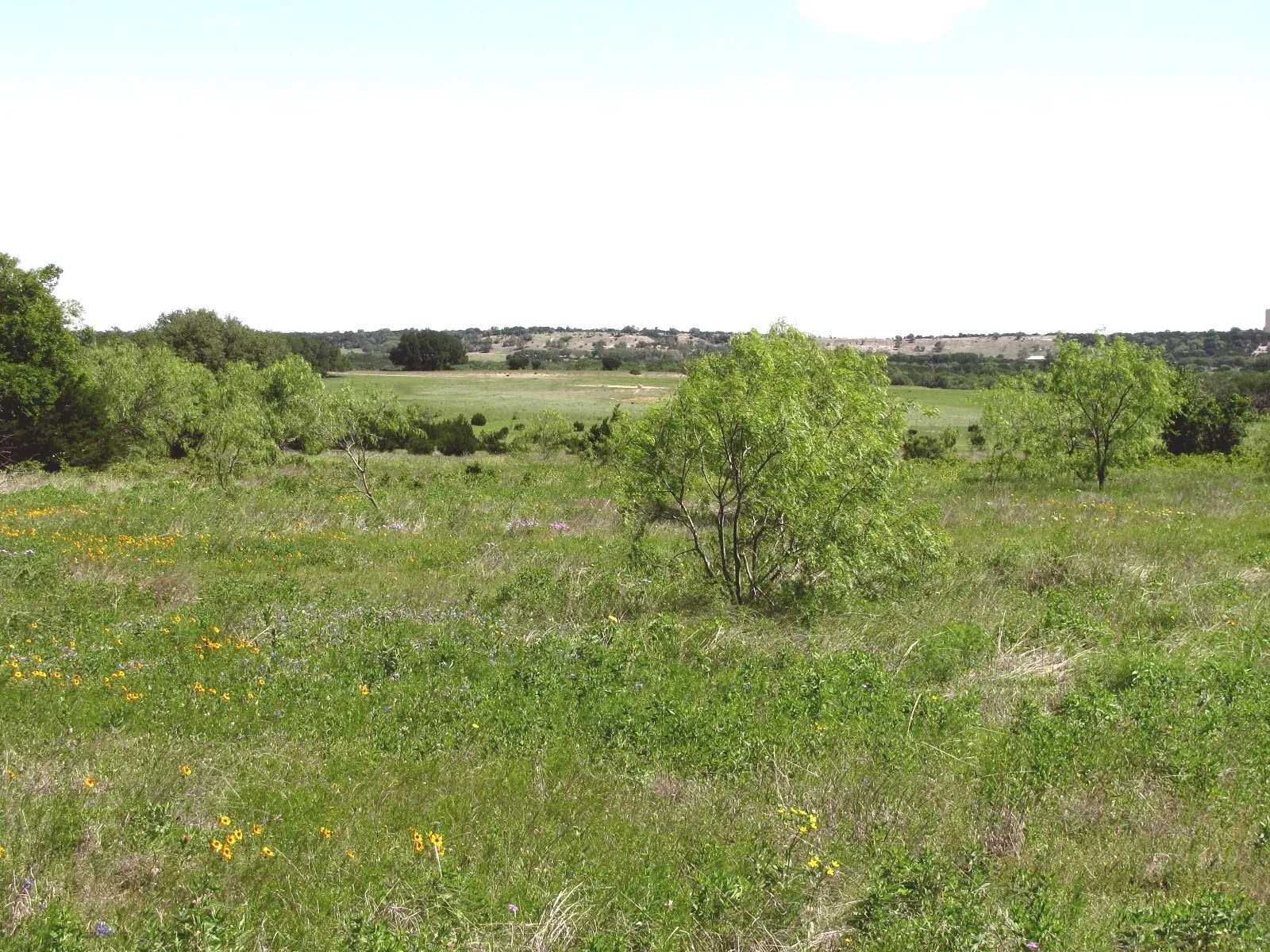 Single Family Residence For Sale in Coryell County , 6630 Fm 183, Evant, Texas 76525, 3 Bedroom, 2 Bathroom, Garage spaces, 1,134 Sqft, built in 1955, Preowned, mls#20316004, Real Estate Agent in Evant, Homes For Sale in Coryell county, Homes For Sale in Evant, Realtor in Evant Texas, Real Estate Brokerage Independent Realty Texas, Luminita Cordes Realtor